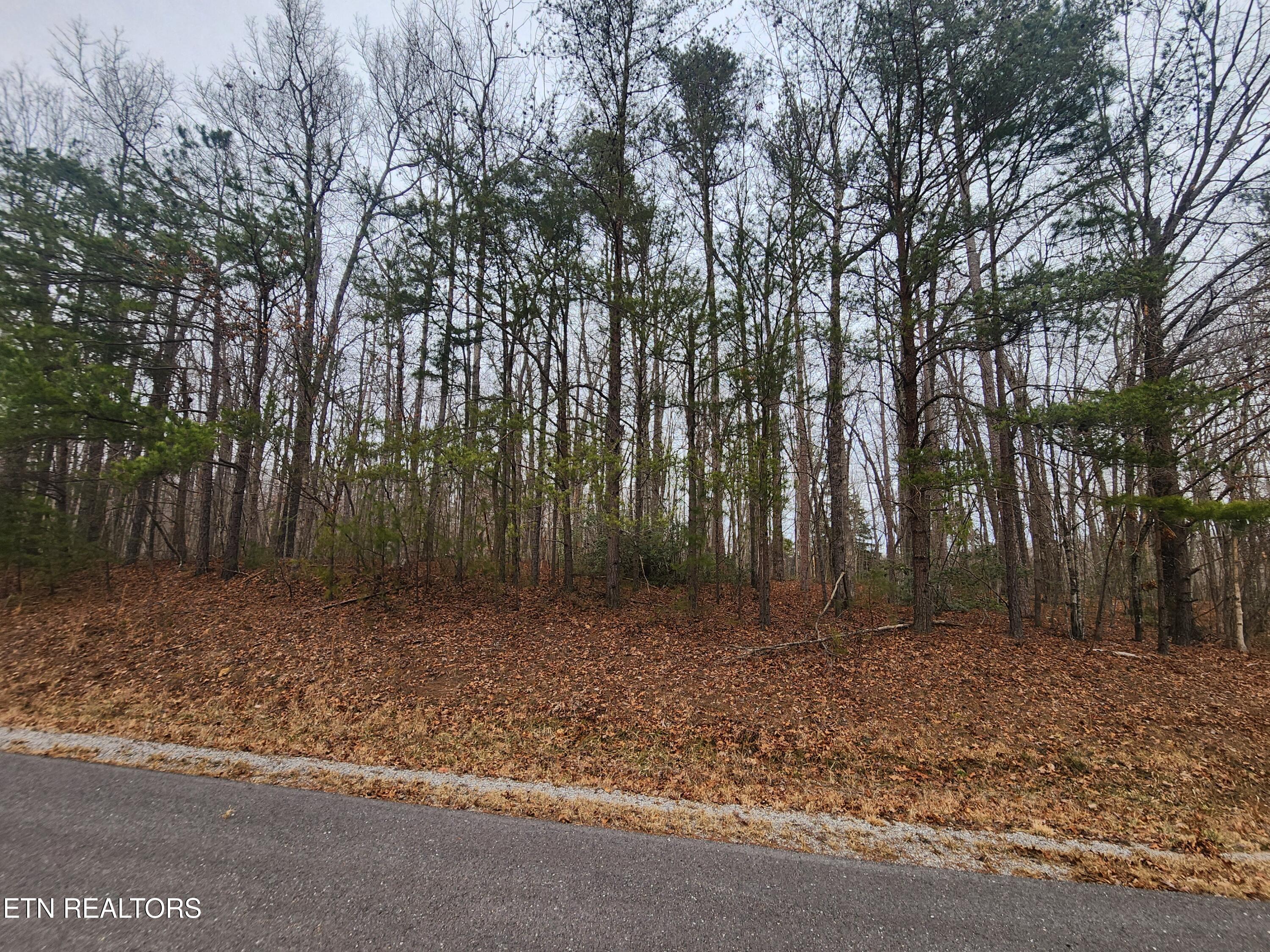 Blueberry Point Monterey, TN 38574 - Photo 3 of 17 4 ACRES BLUEBERRY PT