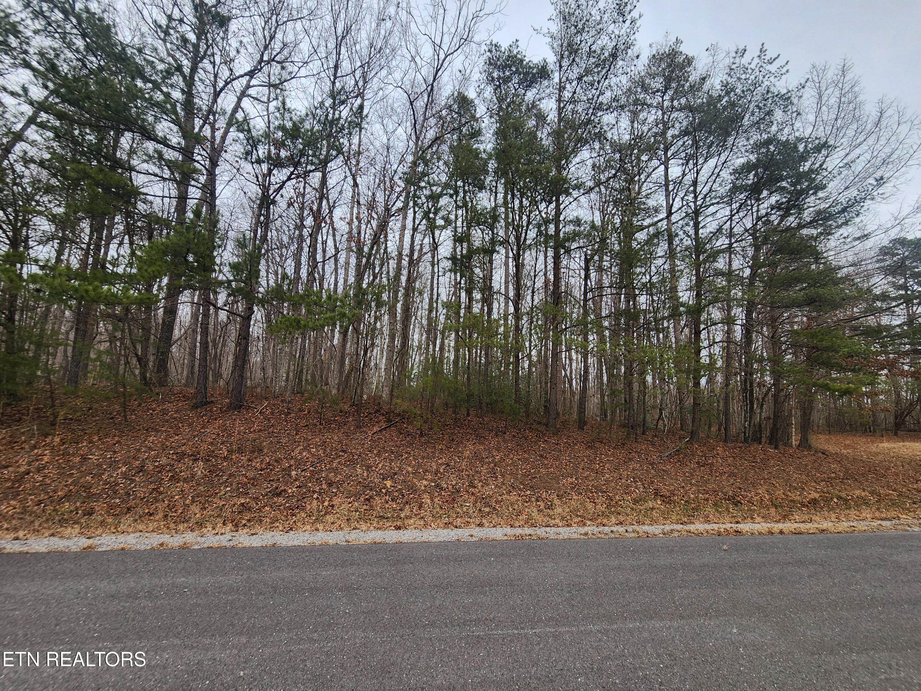 Blueberry Point Monterey, TN 38574 - Photo 5 of 17 BLUEBERRY PT