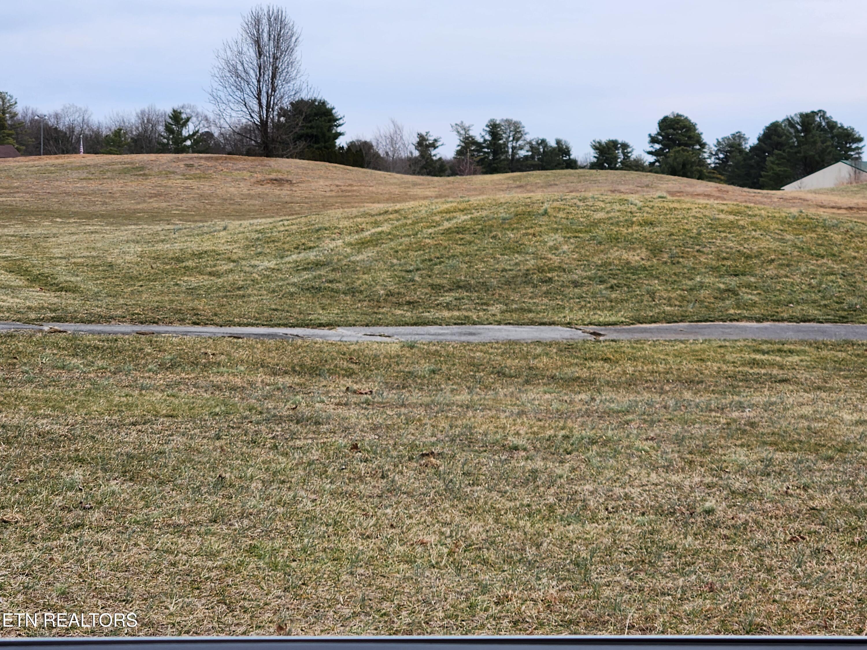 Blueberry Point Monterey, TN 38574 - Photo 8 of 17 CUMBERLAND COVE GOLF COURSE