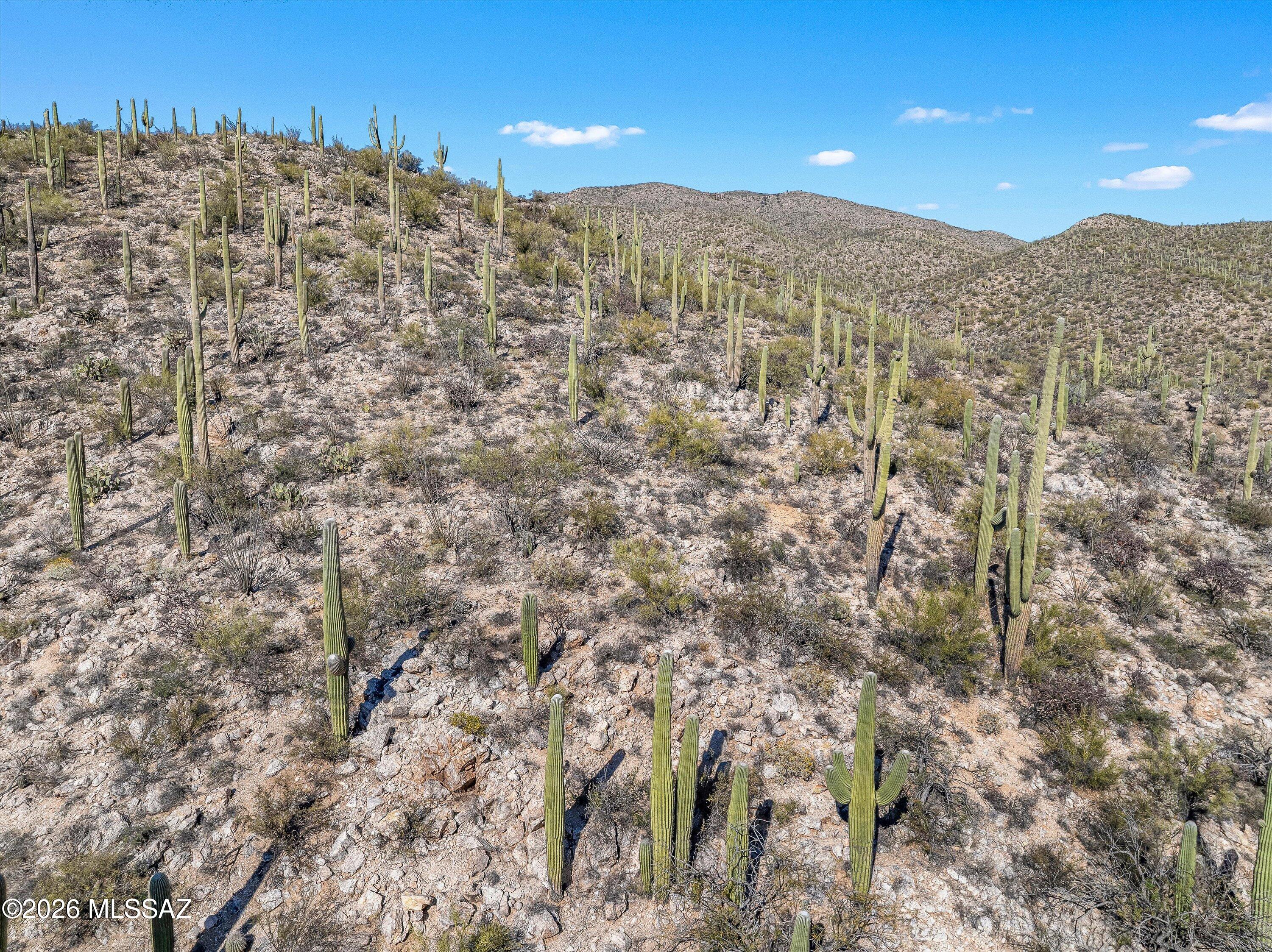 13716 Placita Del Inca, Unit 8 Tucson, AZ 85749 - Photo 31 of 37