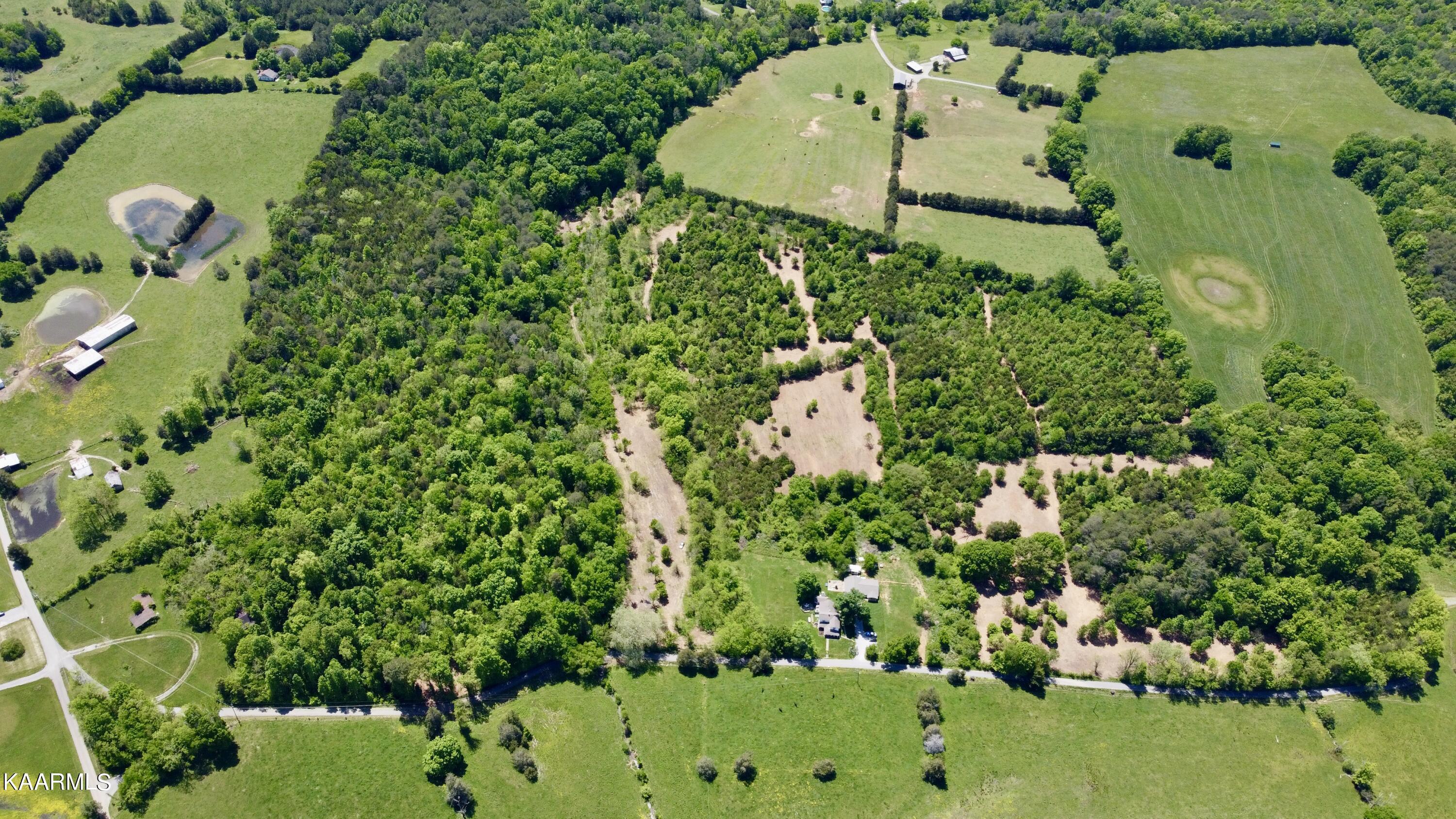 Rodgers Road Corryton, TN 37721 - Photo 11 of 38 Aerial of all Rodgers Road Lots