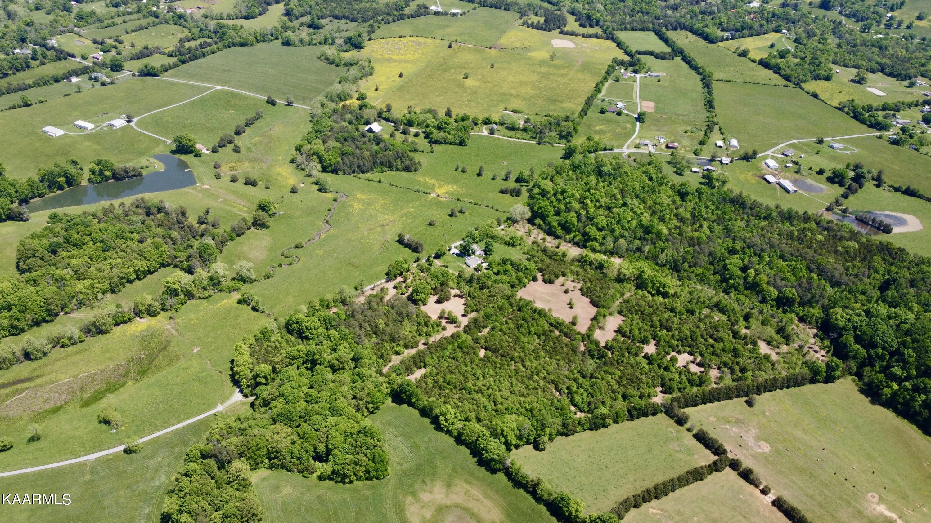 Rodgers Road Corryton, TN 37721 - Photo 13 of 38 Aerial of all Rodgers Road Lots