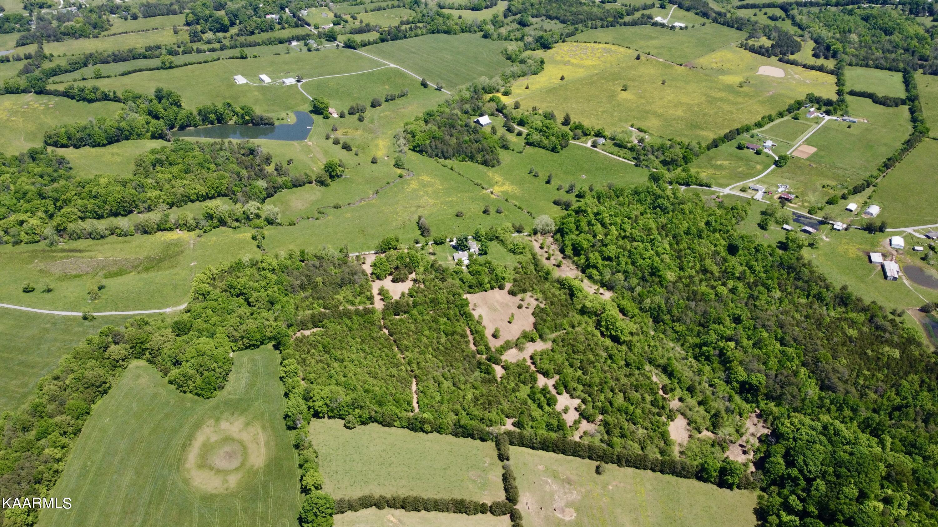 Rodgers Road Corryton, TN 37721 - Photo 14 of 38 Aerial of all Rodgers Road Lots