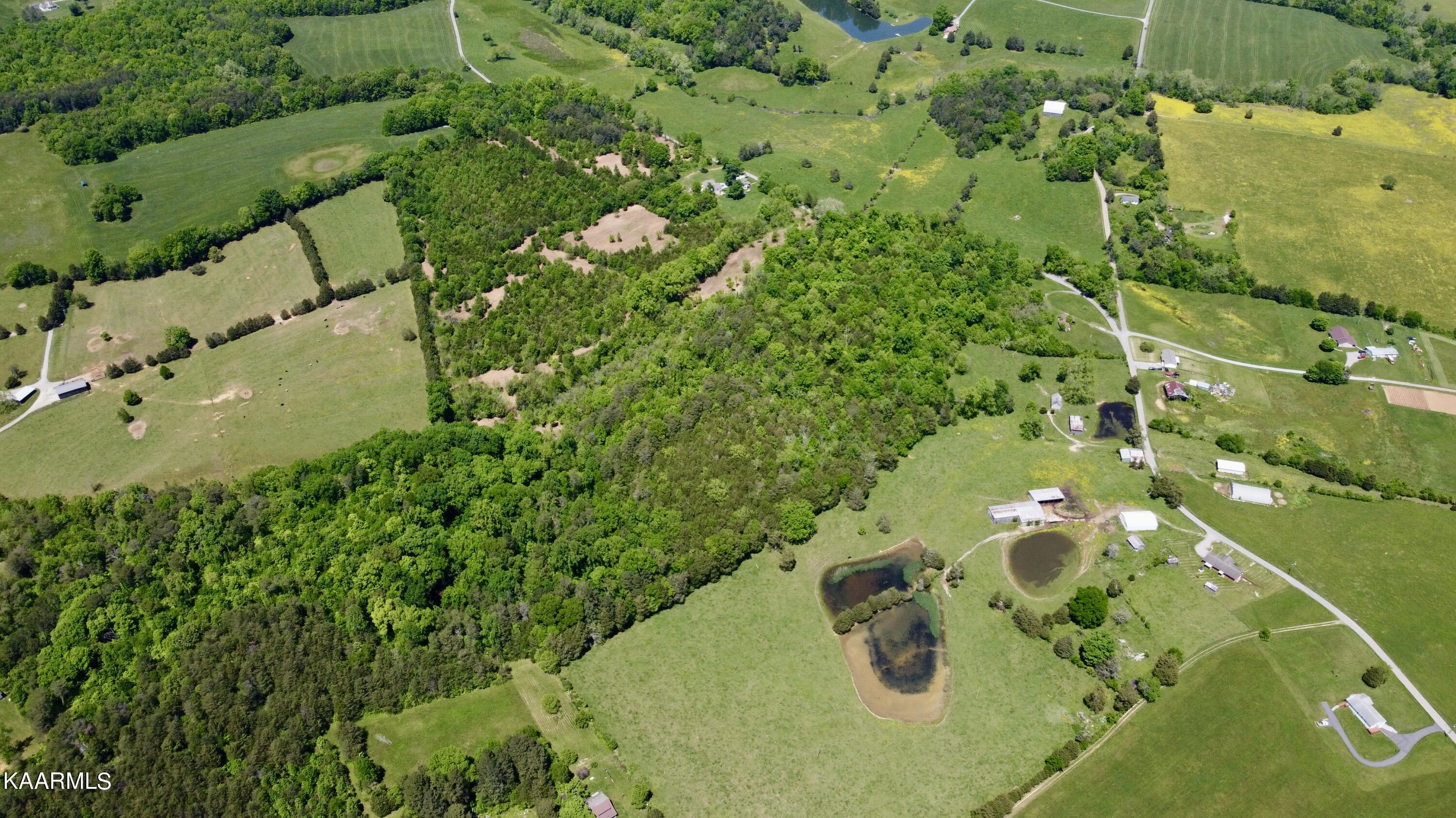 Rodgers Road Corryton, TN 37721 - Photo 16 of 38 Aerial of all Rodgers Road Lots