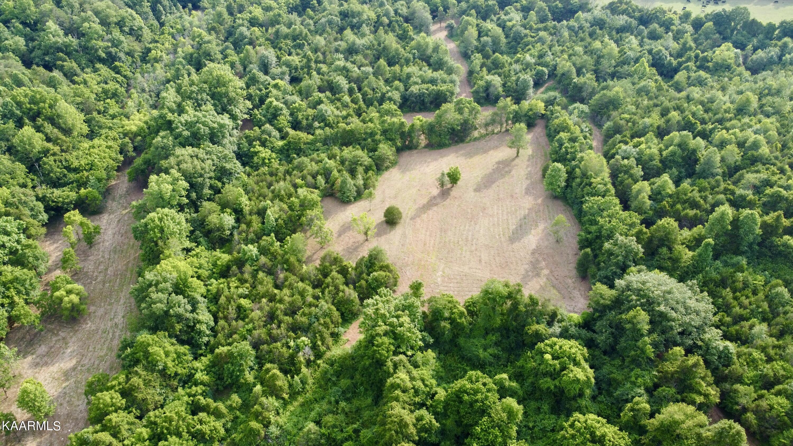 Rodgers Road Corryton, TN 37721 - Photo 17 of 38 DJI_0842