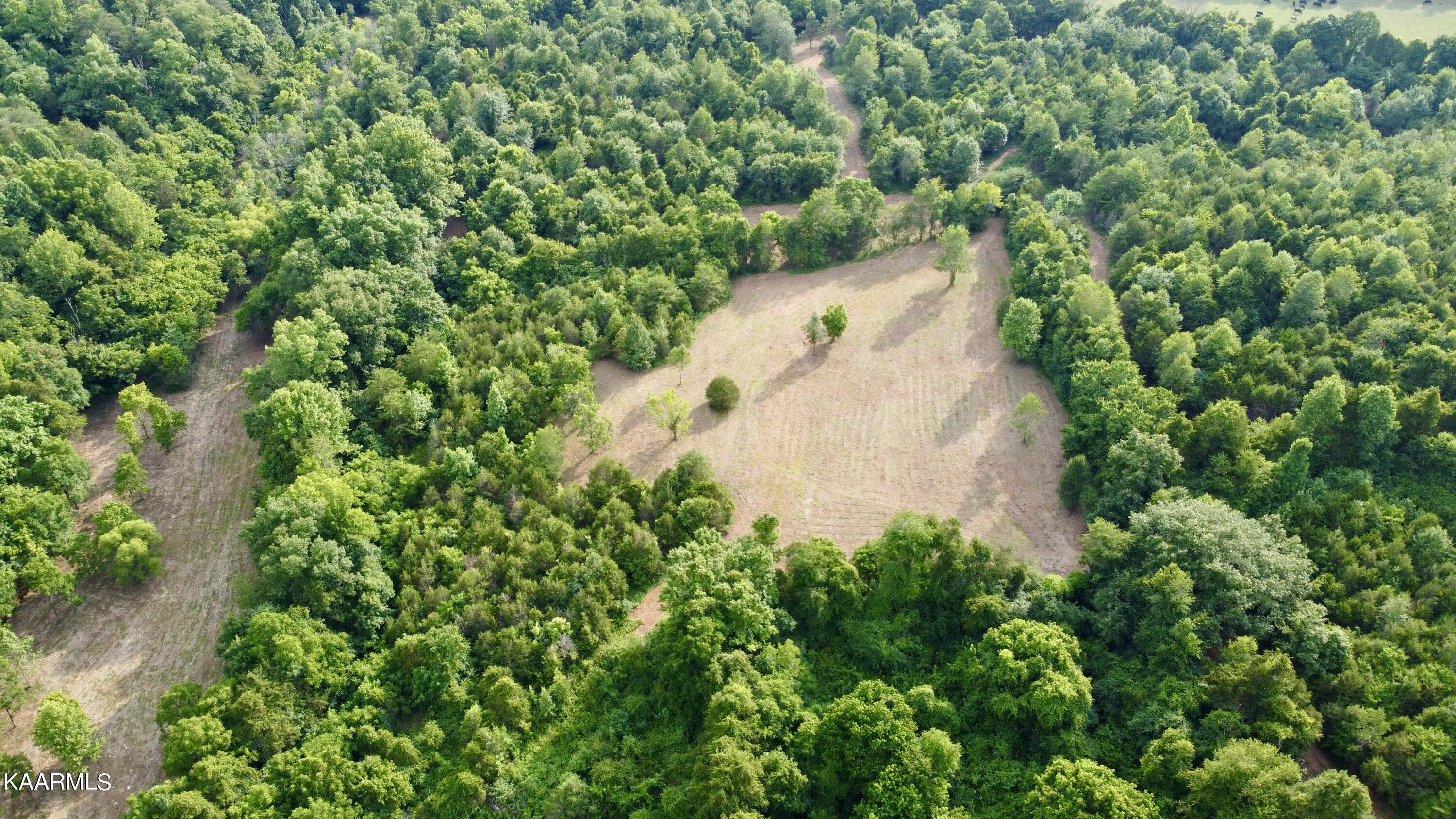 Rodgers Road Corryton, TN 37721 - Photo 18 of 38 DJI_0843