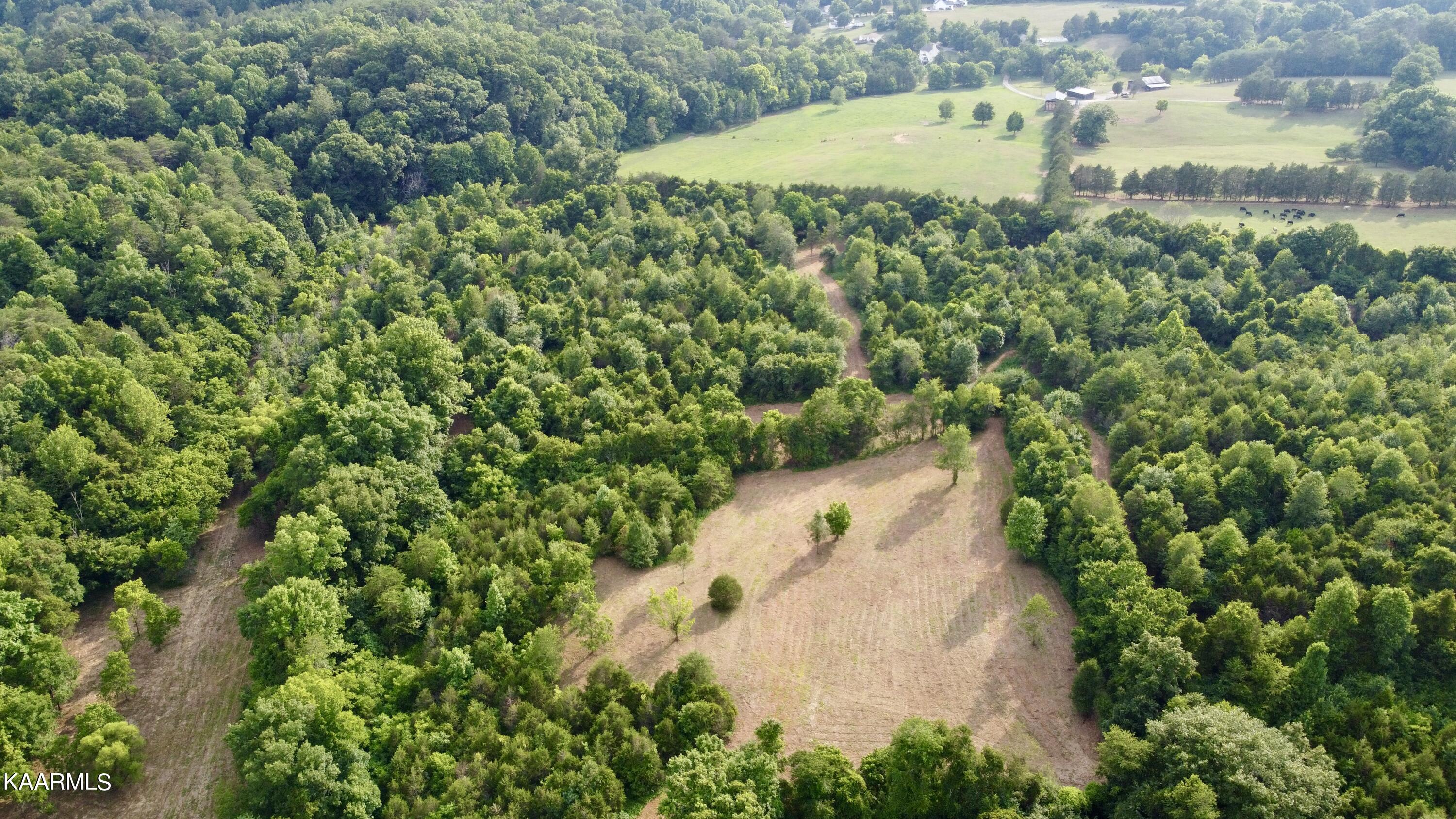 Rodgers Road Corryton, TN 37721 - Photo 19 of 38 DJI_0844
