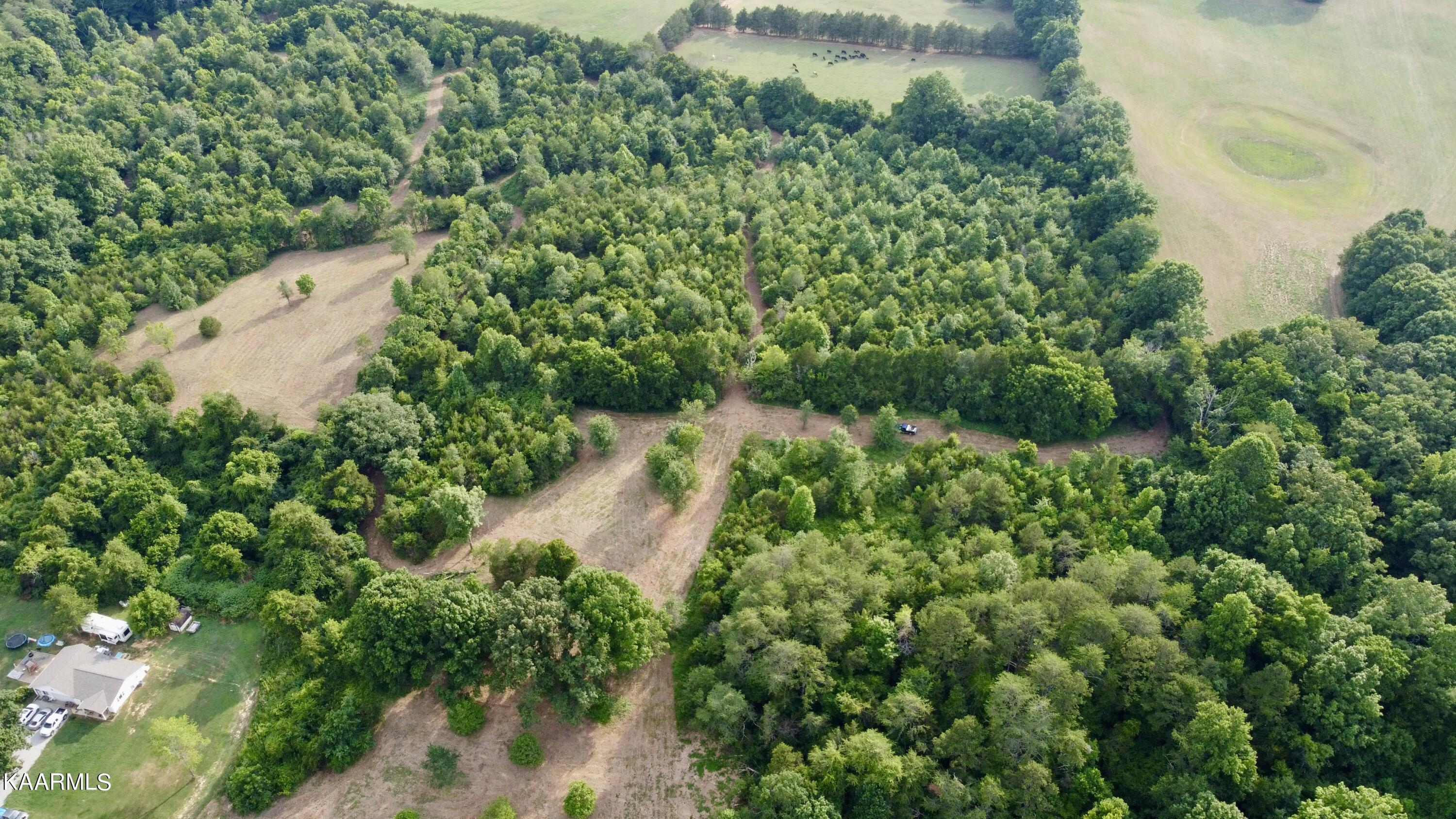 Rodgers Road Corryton, TN 37721 - Photo 20 of 38 DJI_0845