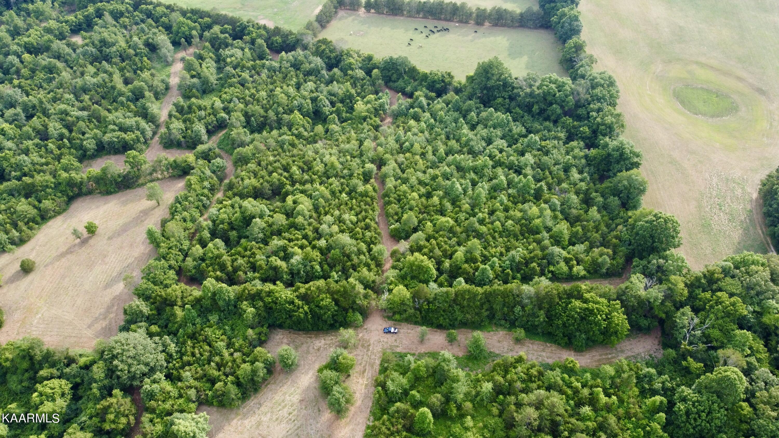 Rodgers Road Corryton, TN 37721 - Photo 22 of 38 DJI_0847