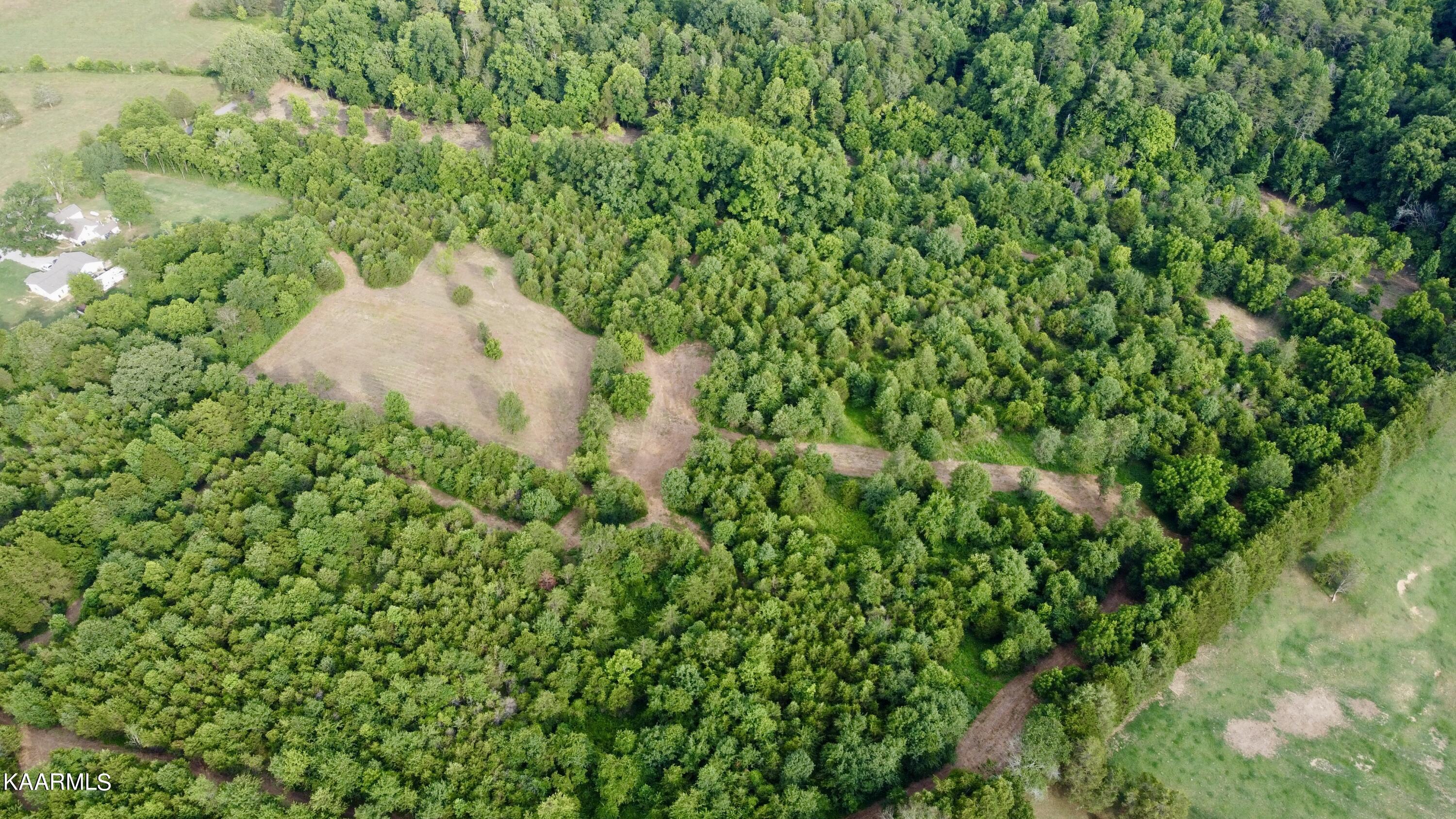 Rodgers Road Corryton, TN 37721 - Photo 24 of 38 DJI_0852