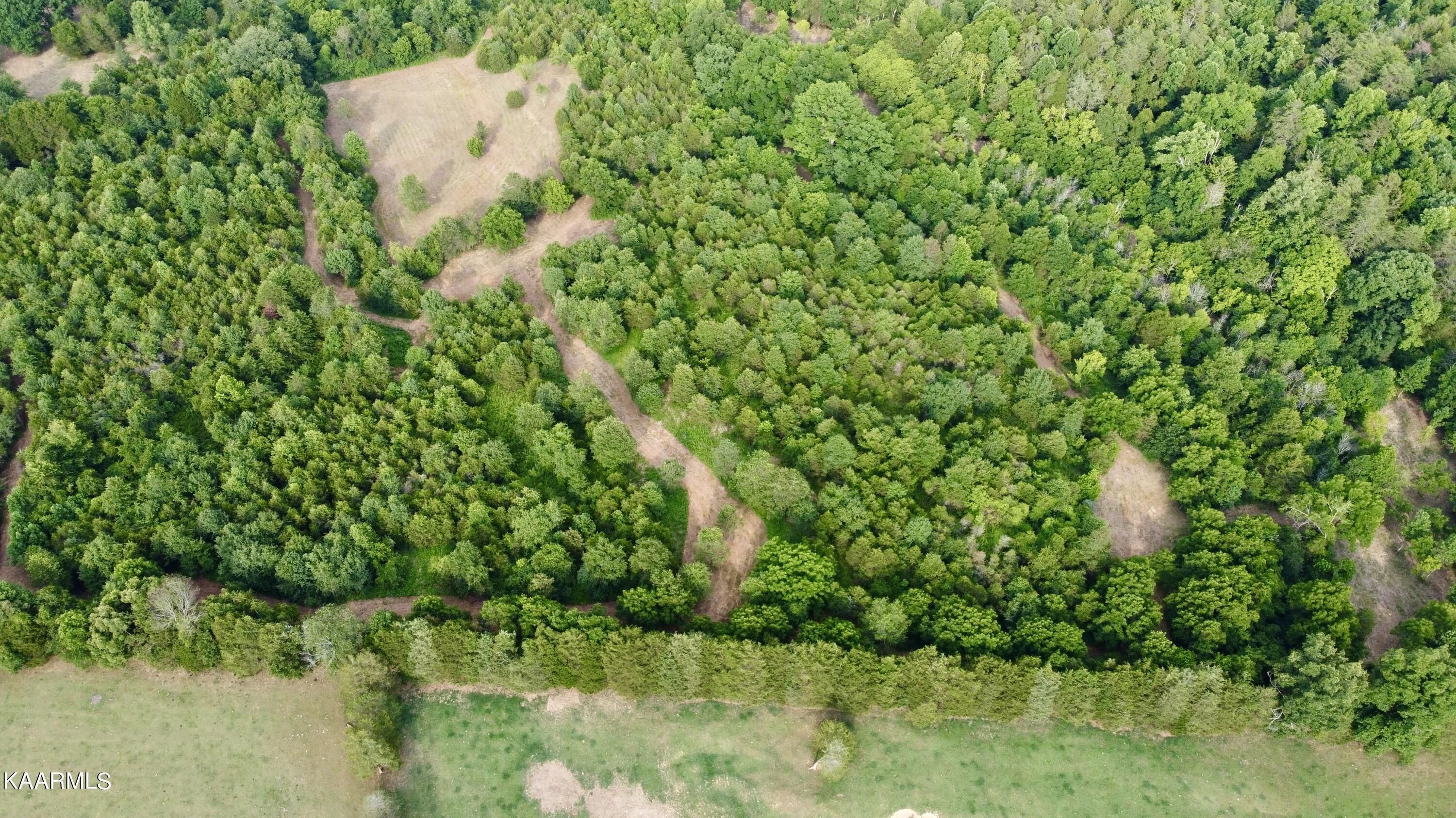 Rodgers Road Corryton, TN 37721 - Photo 25 of 38 DJI_0854