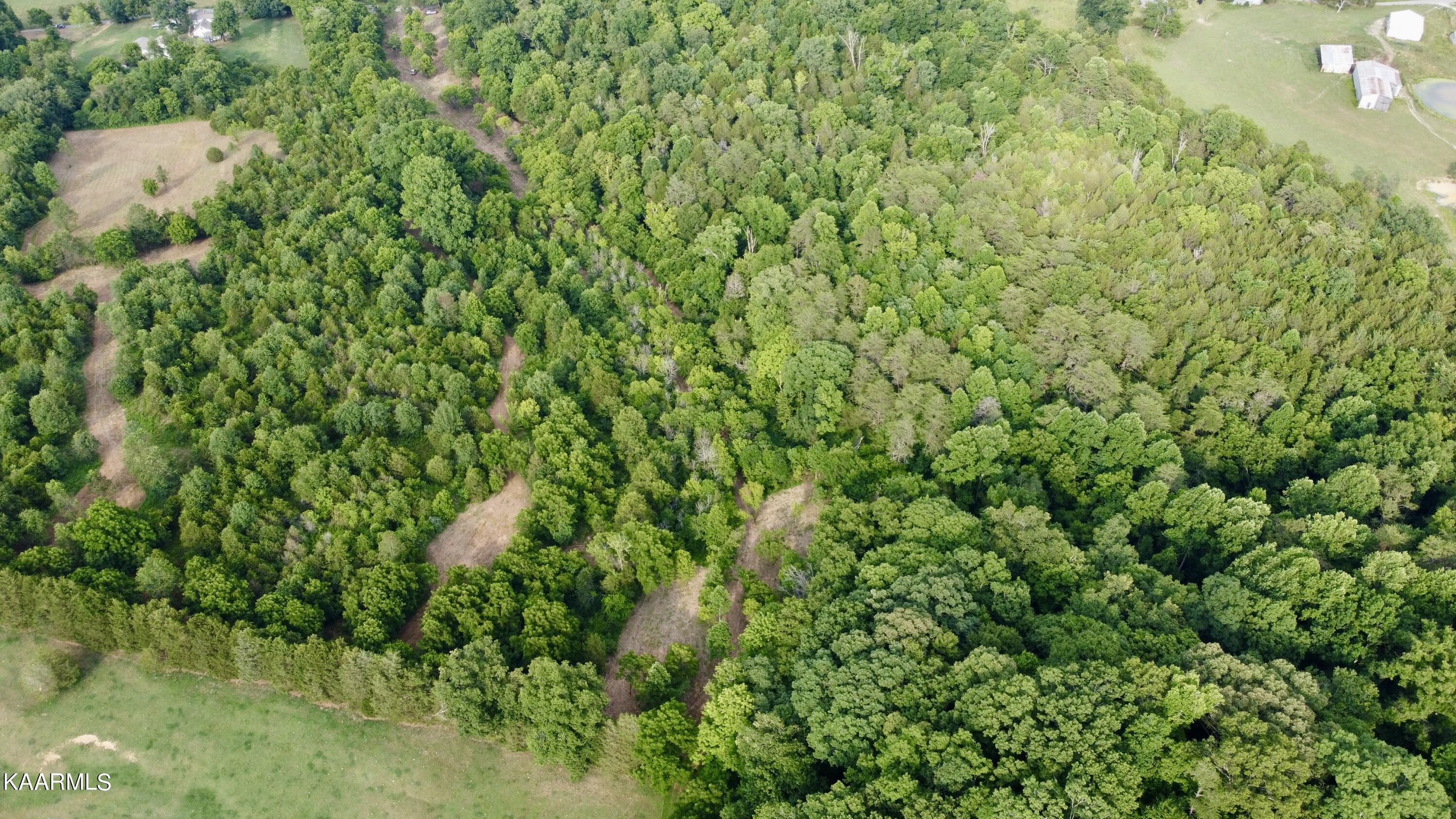 Rodgers Road Corryton, TN 37721 - Photo 26 of 38 DJI_0855