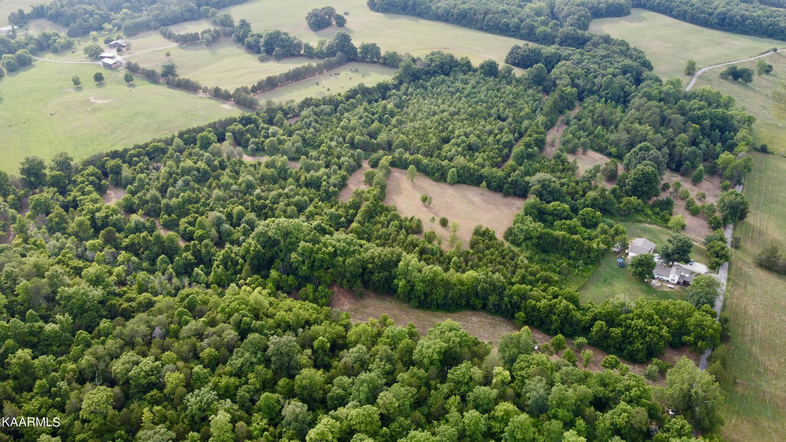 Rodgers Road Corryton, TN 37721 - Photo 27 of 38 DJI_0863