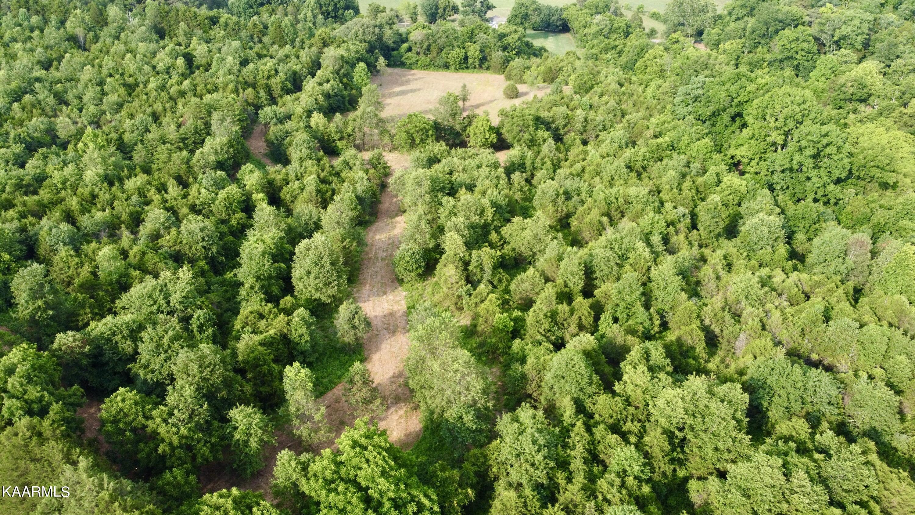 Rodgers Road Corryton, TN 37721 - Photo 29 of 38 DJI_0876