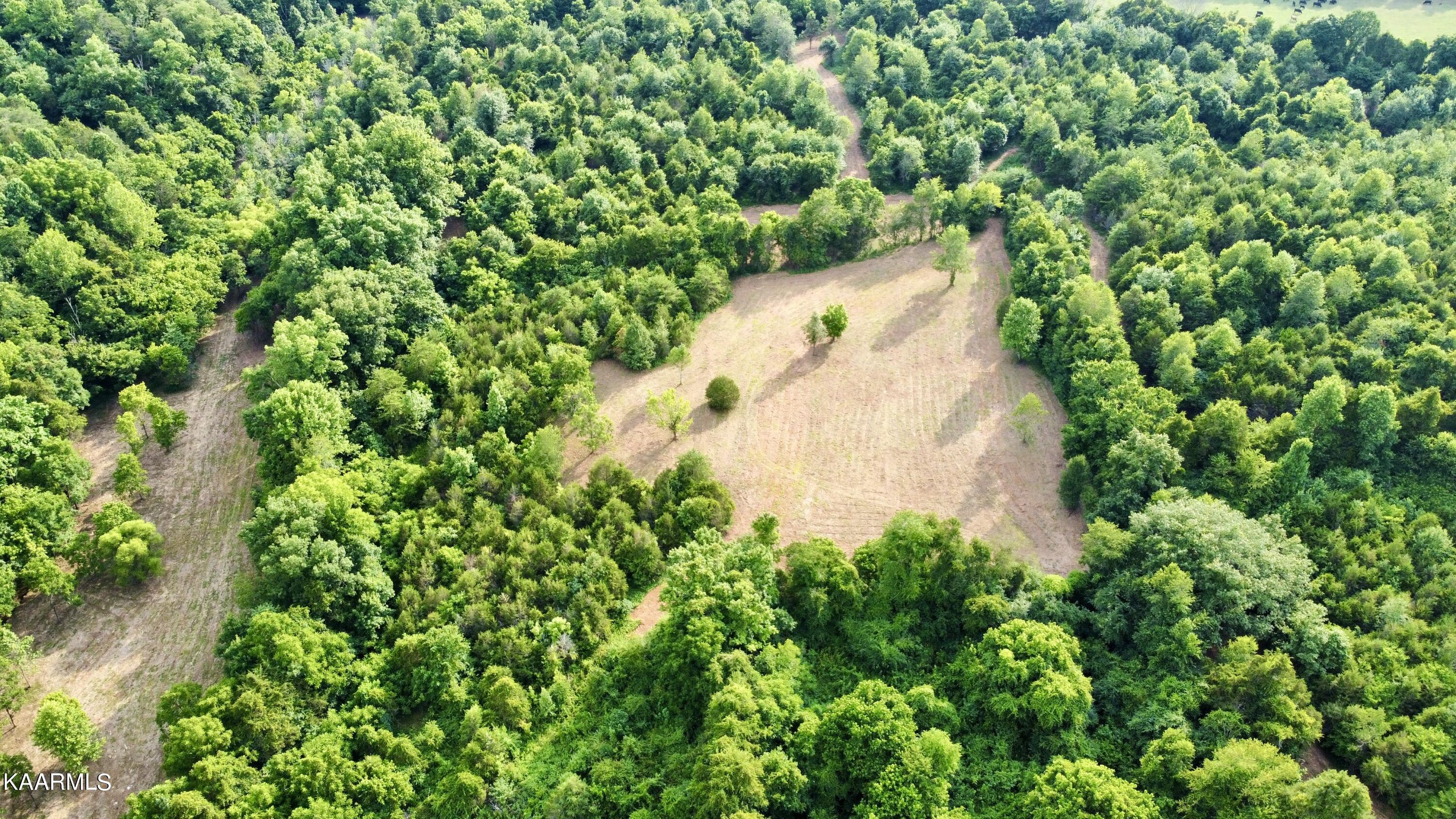 Rodgers Road Corryton, TN 37721 - Photo 30 of 38 RemoteMediaFile_6619979_0_2022_07_05_18_