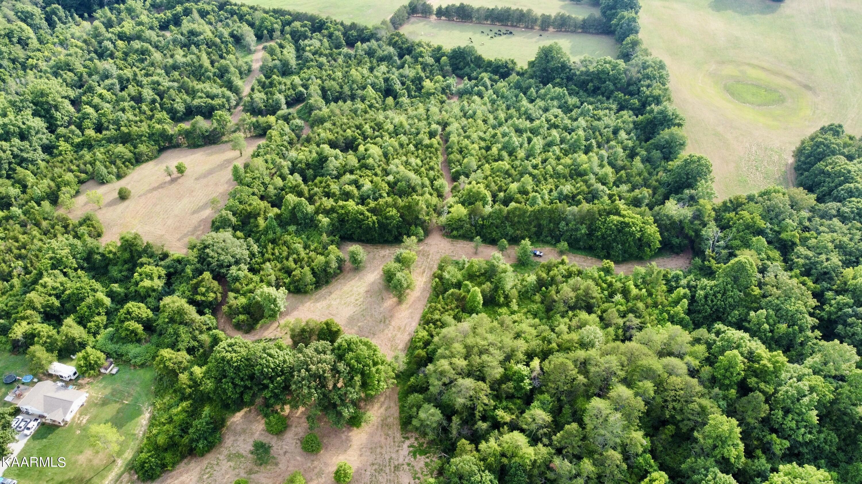 Rodgers Road Corryton, TN 37721 - Photo 32 of 38 RemoteMediaFile_6619981_0_2022_07_05_18_