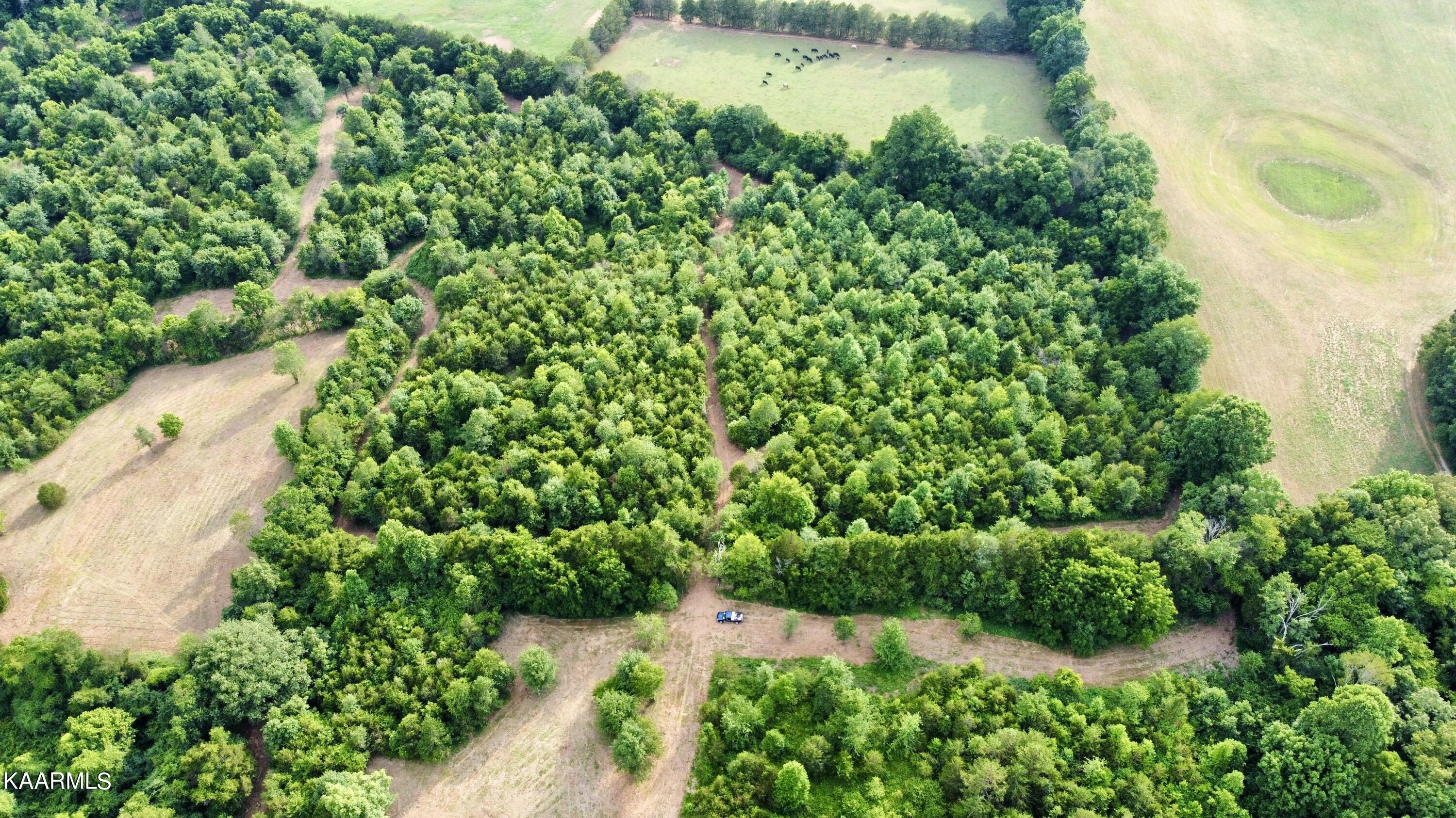 Rodgers Road Corryton, TN 37721 - Photo 33 of 38 RemoteMediaFile_6619983_0_2022_07_05_18_