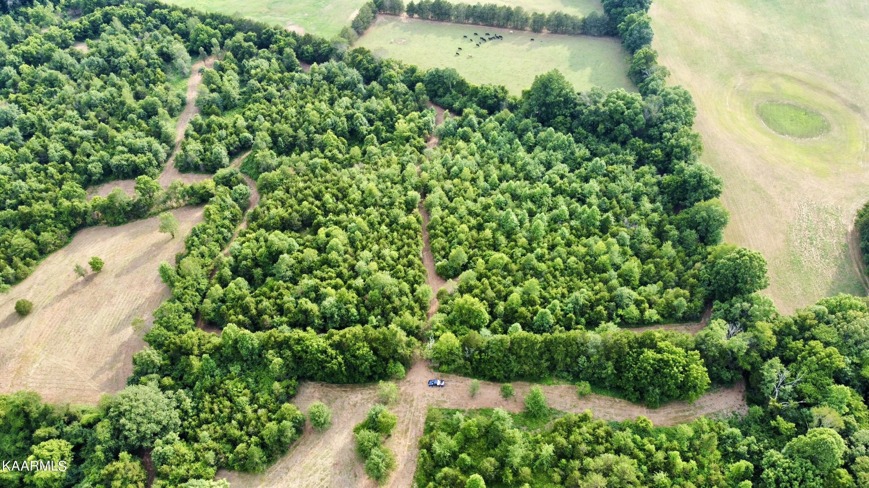 Rodgers Road Corryton, TN 37721 - Photo 34 of 38 RemoteMediaFile_6619984_0_2022_07_05_18_