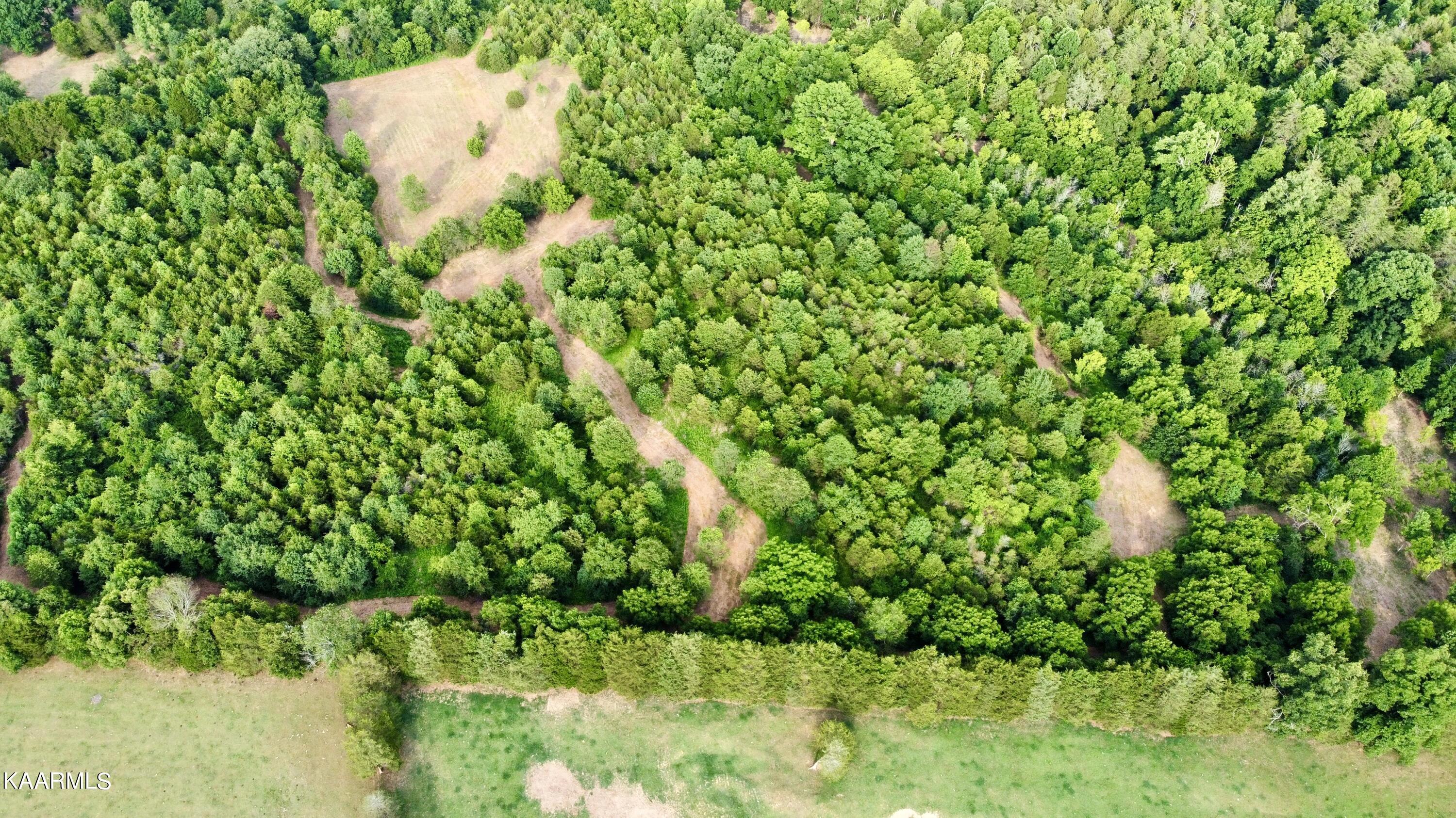 Rodgers Road Corryton, TN 37721 - Photo 35 of 38 RemoteMediaFile_6619990_0_2022_07_05_18_
