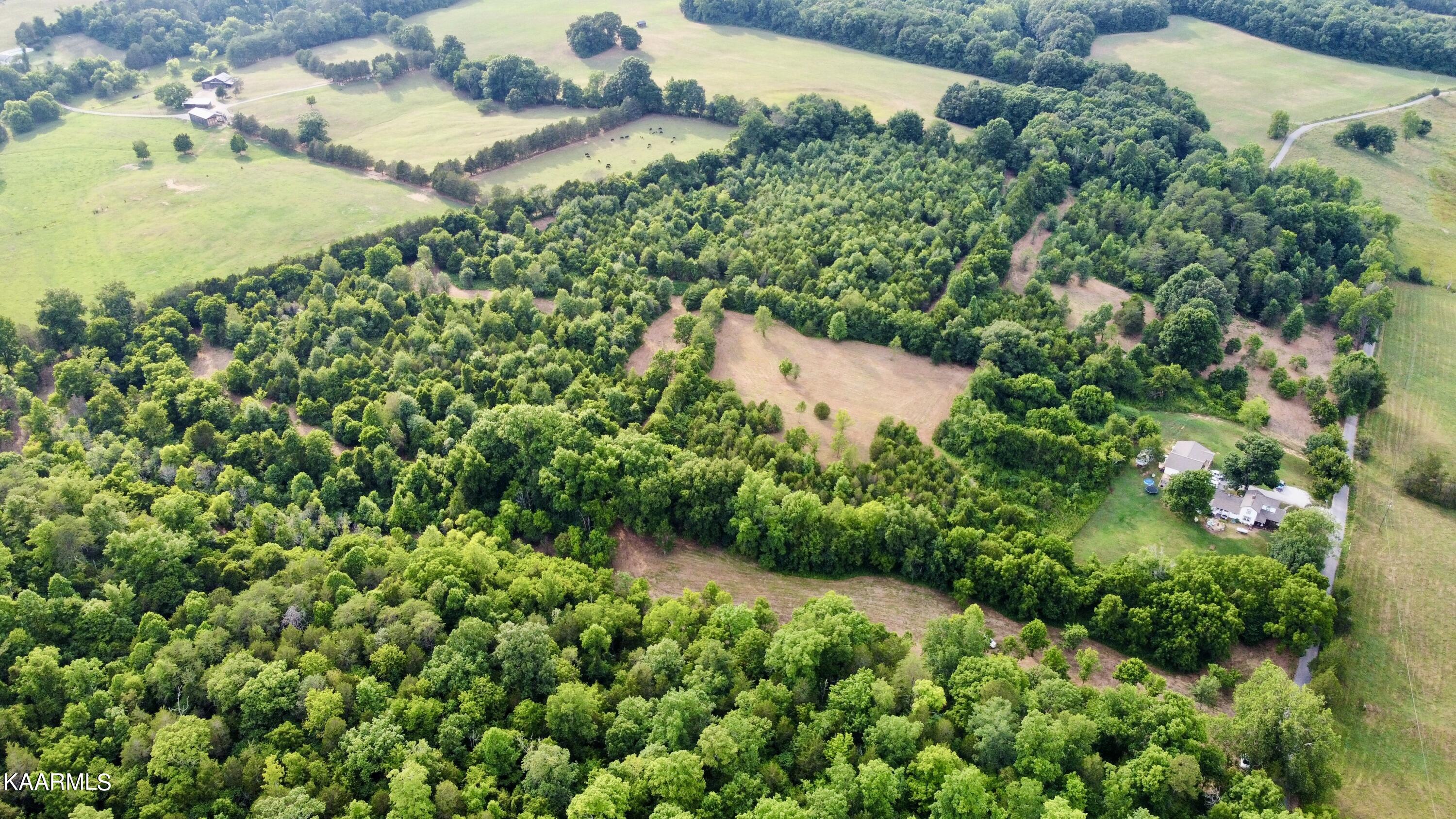 Rodgers Road Corryton, TN 37721 - Photo 36 of 38 RemoteMediaFile_6619999_0_2022_07_05_18_