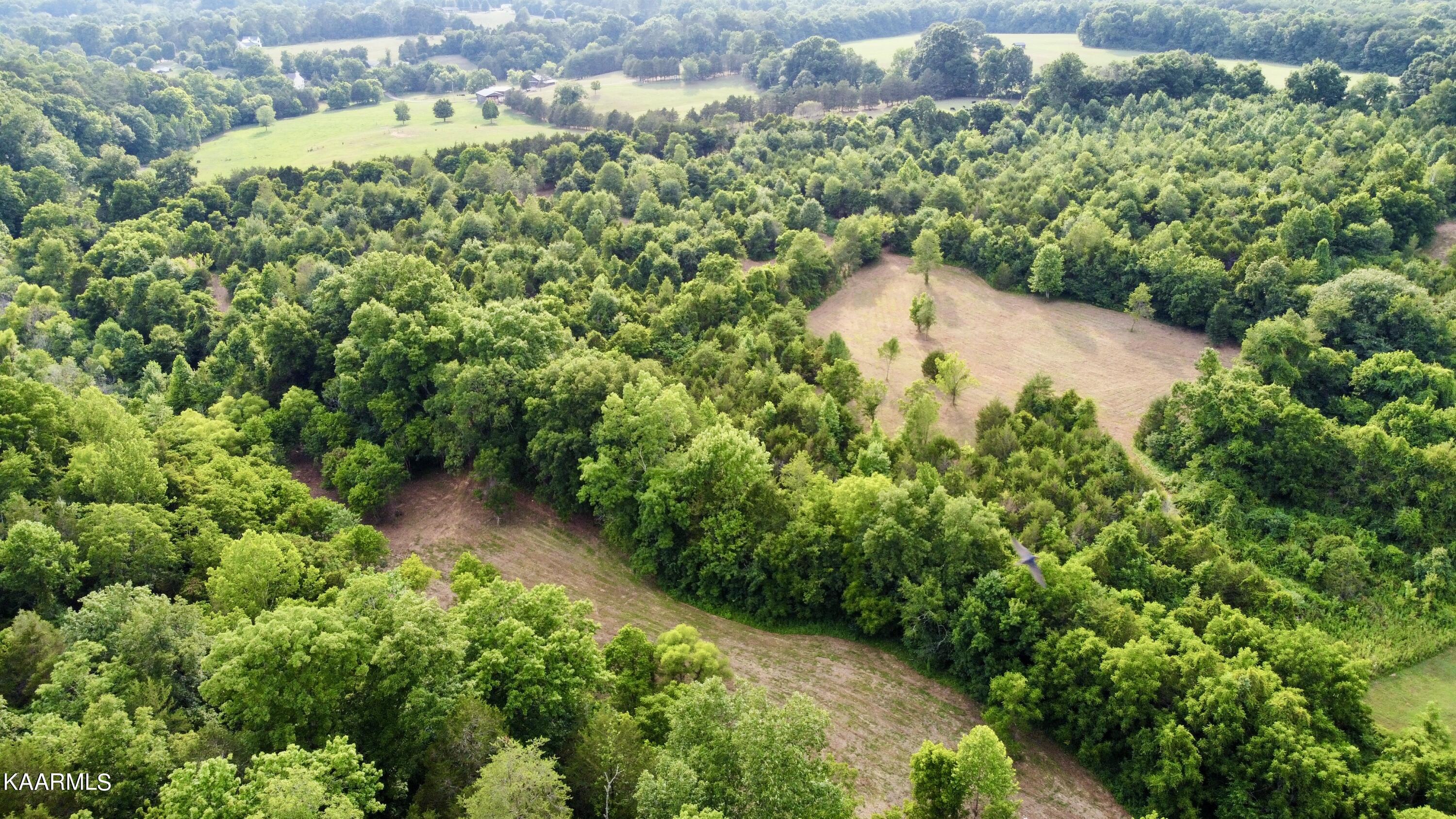 Rodgers Road Corryton, TN 37721 - Photo 37 of 38 RemoteMediaFile_6620008_0_2022_07_05_18_