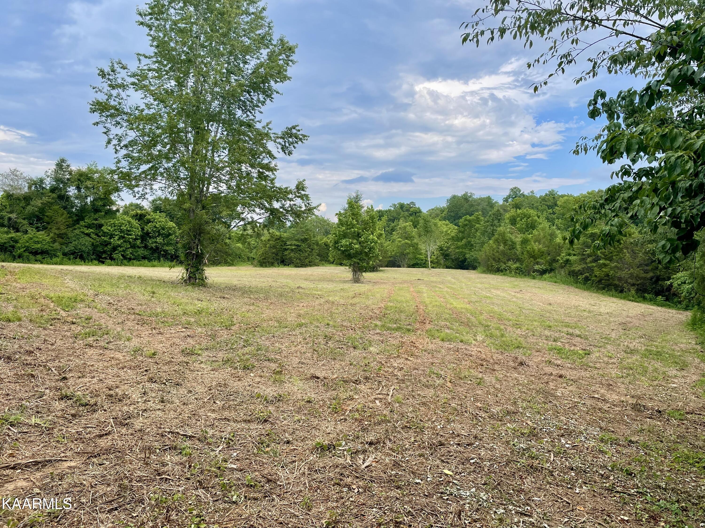 Rodgers Road Corryton, TN 37721 - Photo 4 of 38 IMG_4585