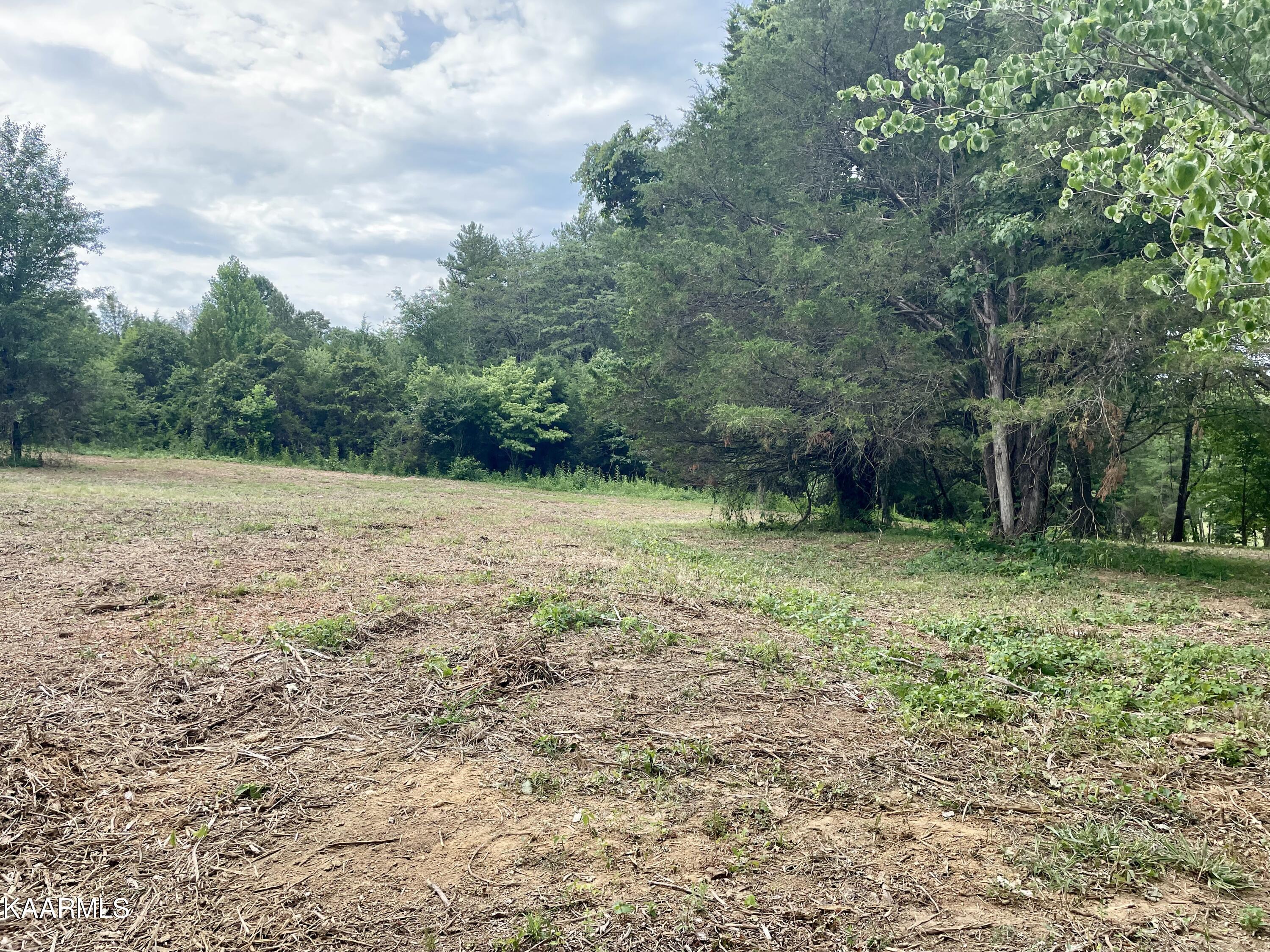 Rodgers Road Corryton, TN 37721 - Photo 5 of 38 IMG_4589