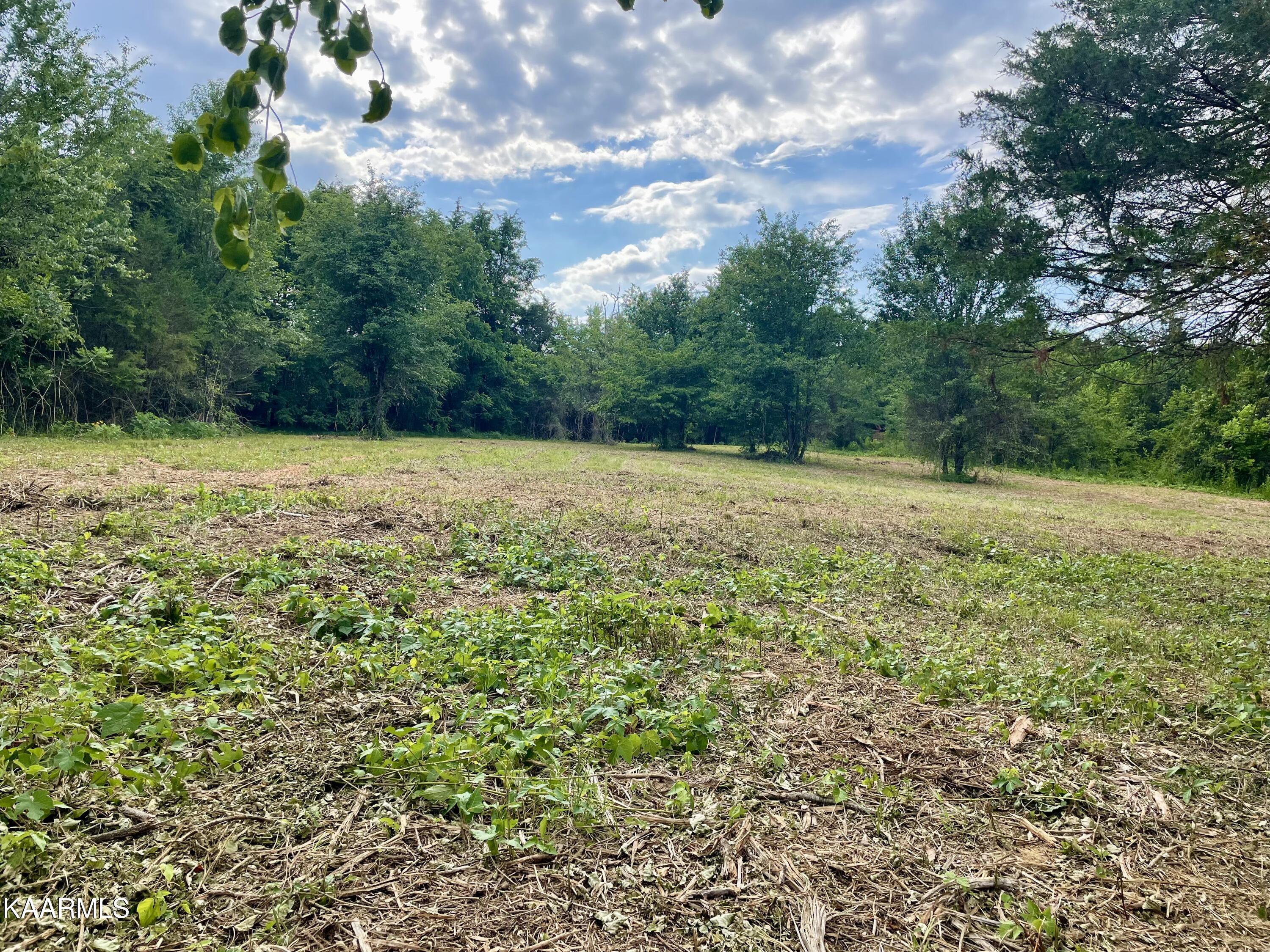 Rodgers Road Corryton, TN 37721 - Photo 6 of 38 IMG_4591