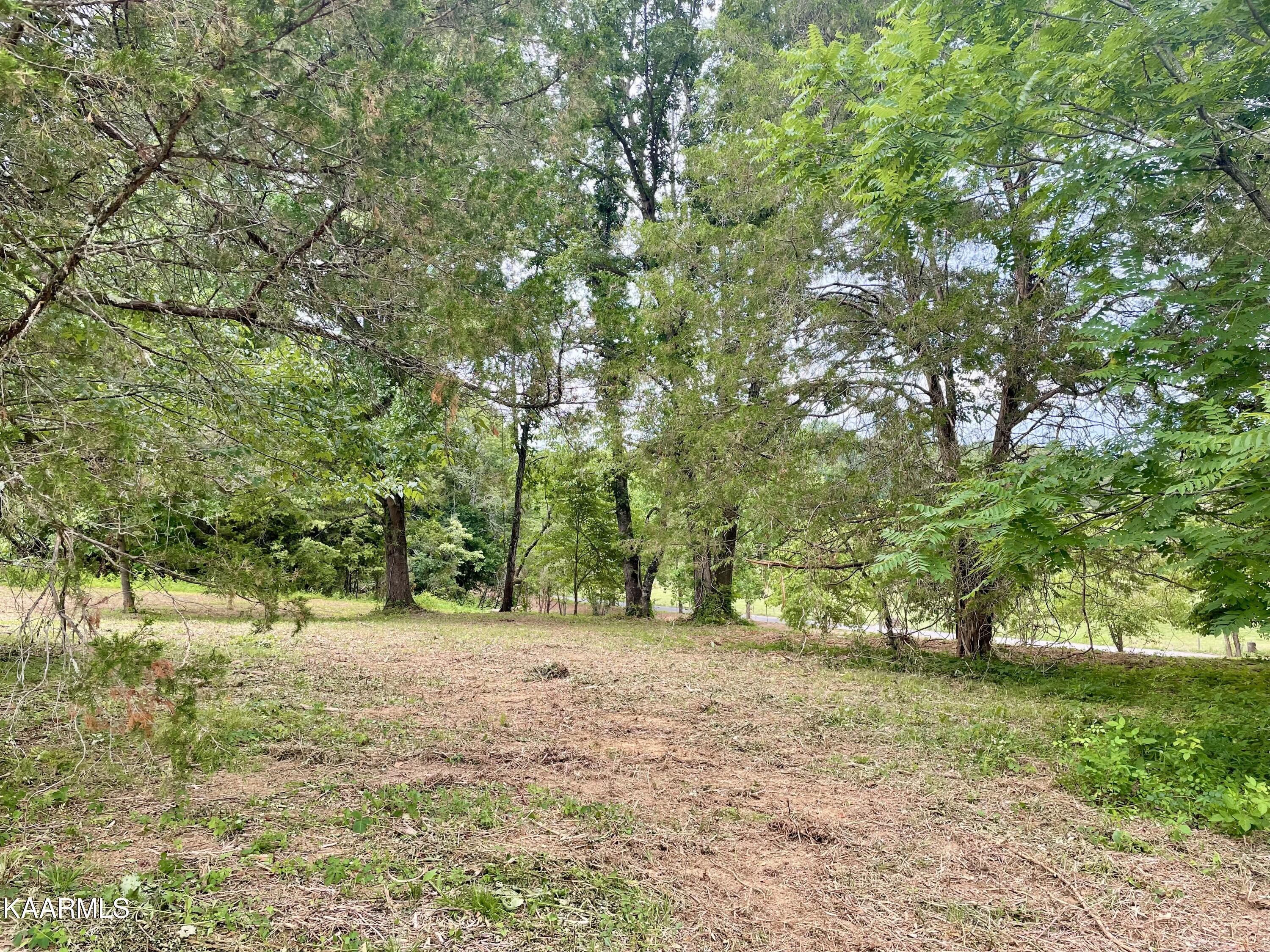 Rodgers Road Corryton, TN 37721 - Photo 7 of 38 IMG_4590