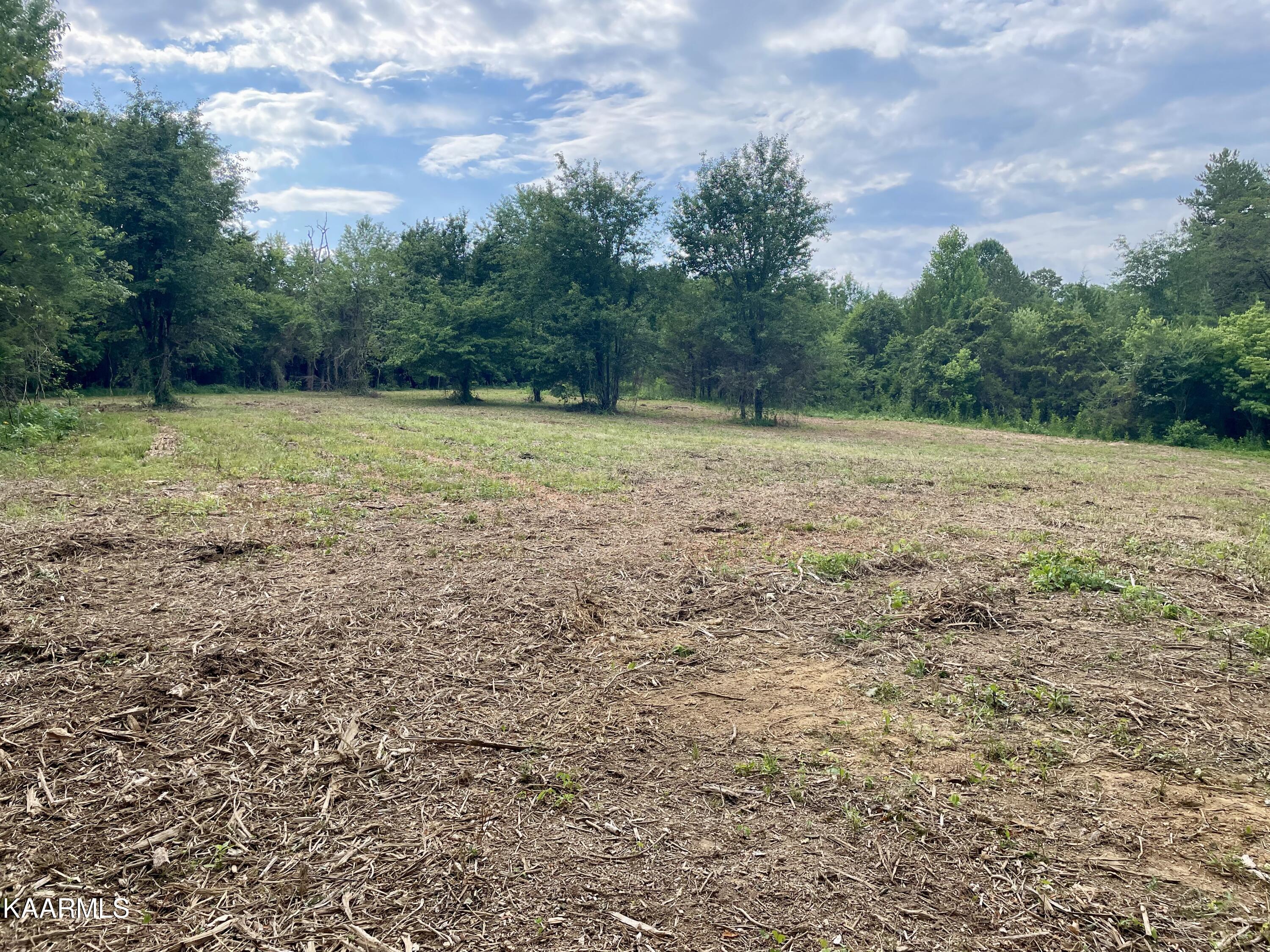 Rodgers Road Corryton, TN 37721 - Photo 8 of 38 IMG_4588