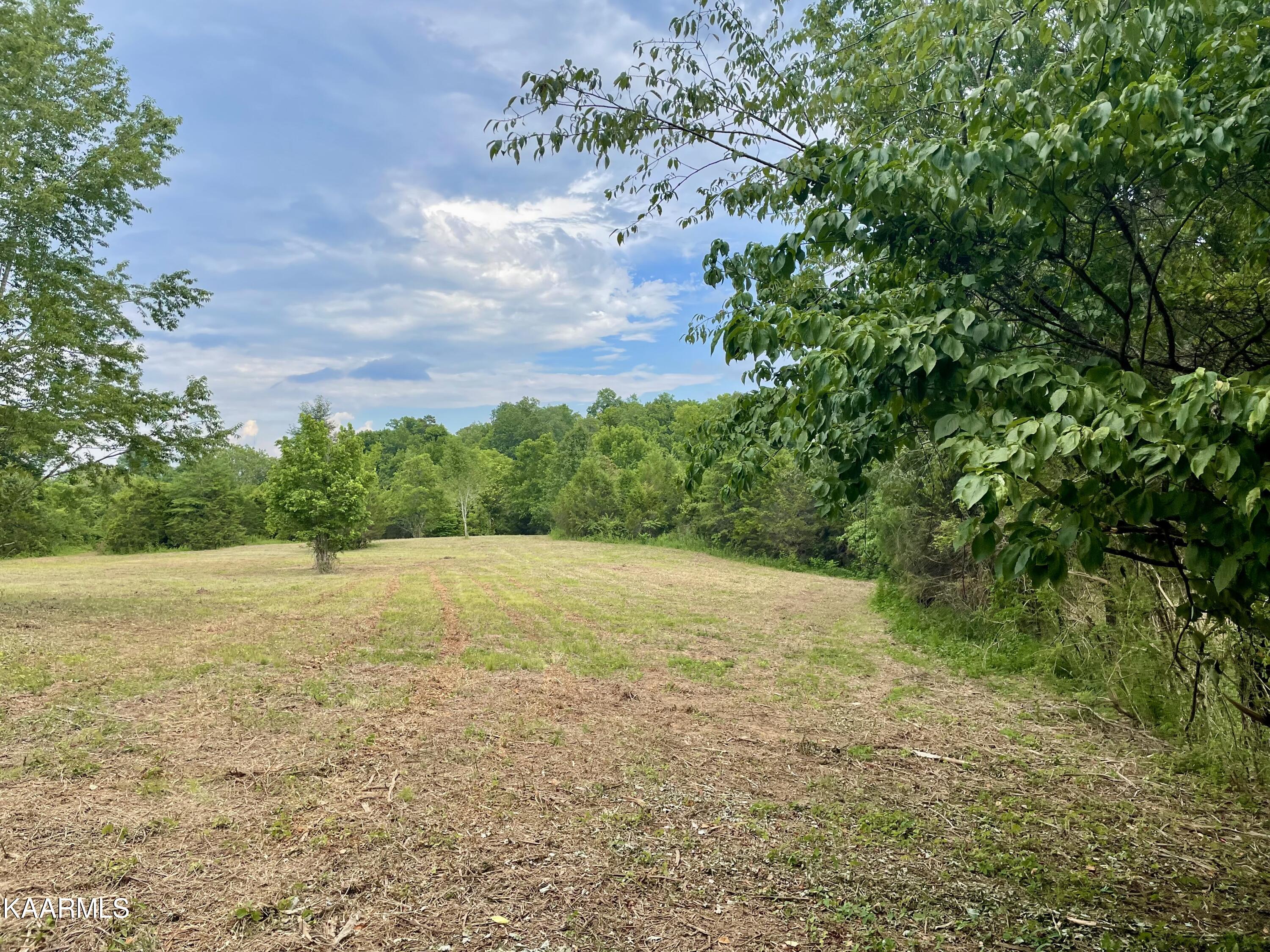 Rodgers Road Corryton, TN 37721 - Photo 9 of 38 IMG_4587