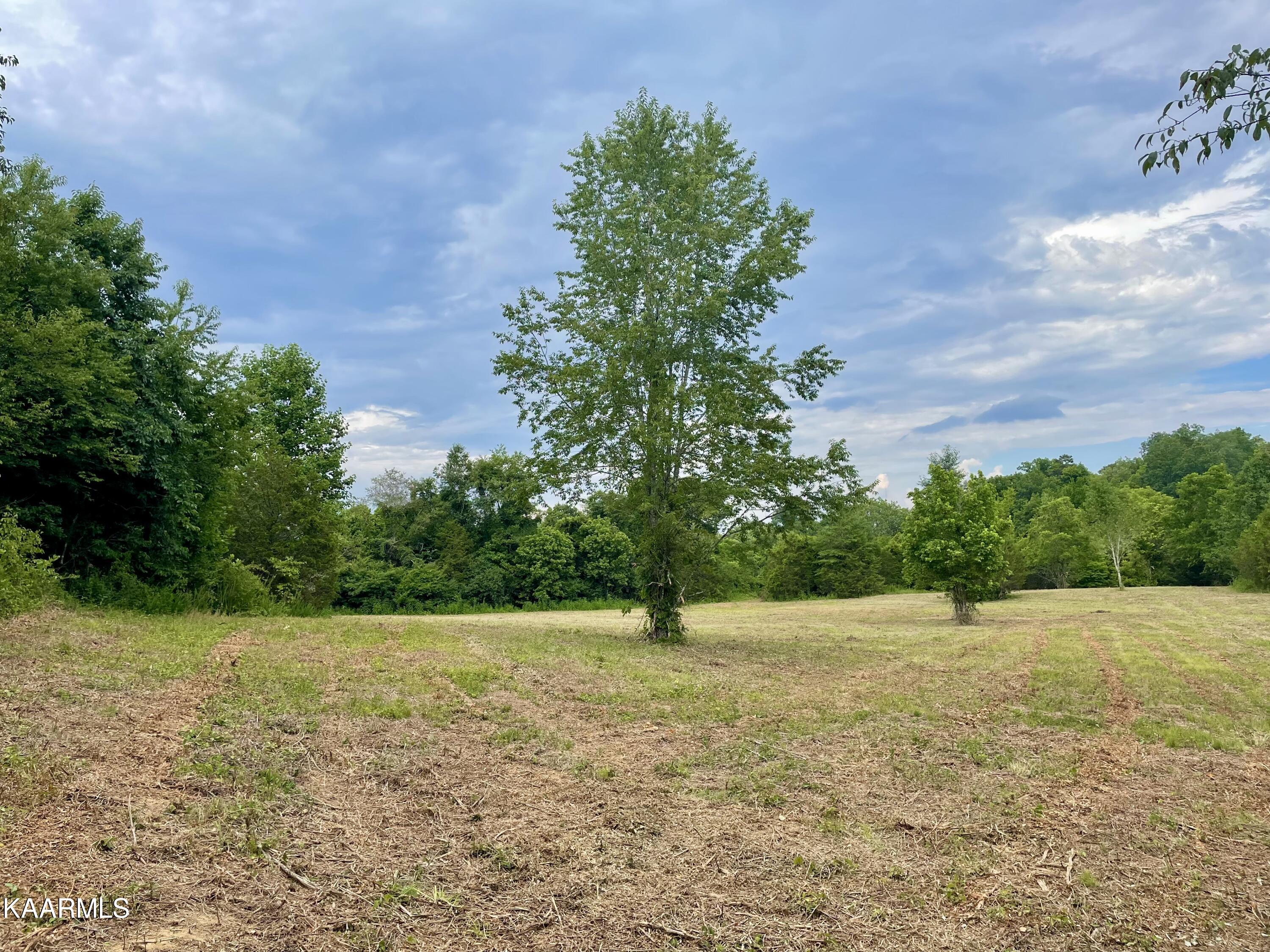 Rodgers Road Corryton, TN 37721 - Photo 10 of 38 IMG_4586