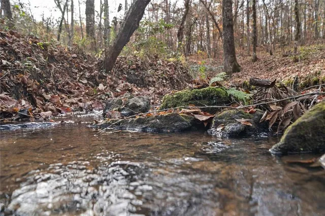 $595,000 | 350 Lee Paul Road, Hawkinsville, GA 31036