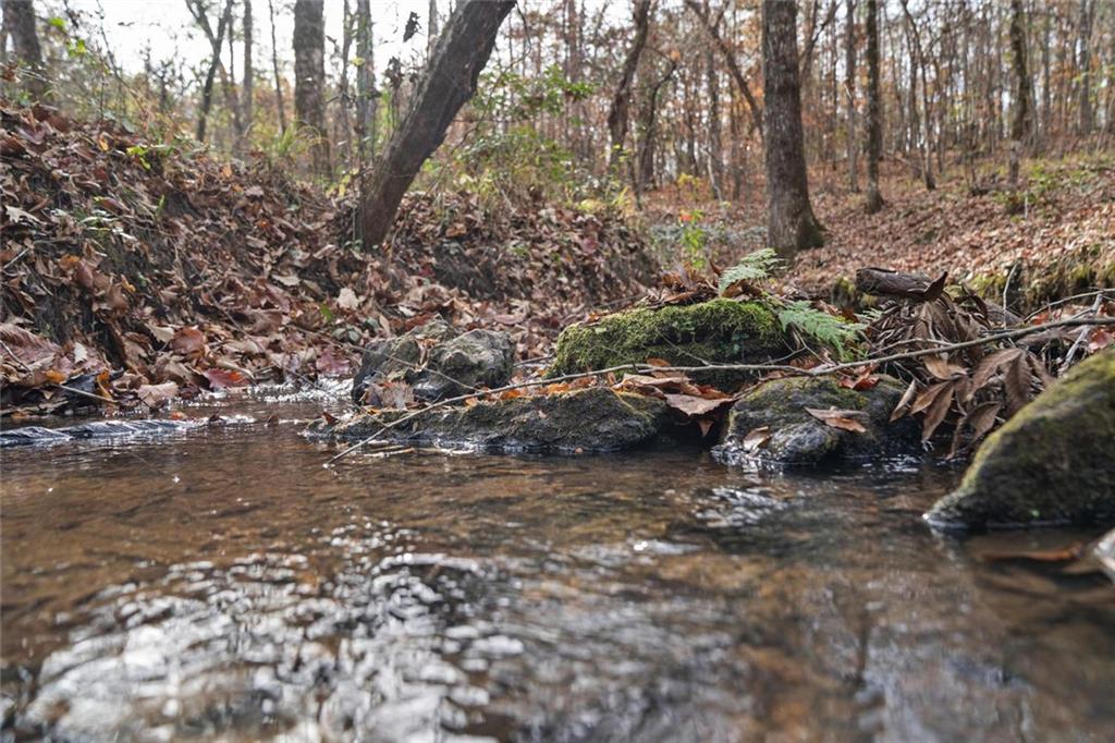 350 Lee Paul Road Hawkinsville, GA 31036 - Photo 41 of 44