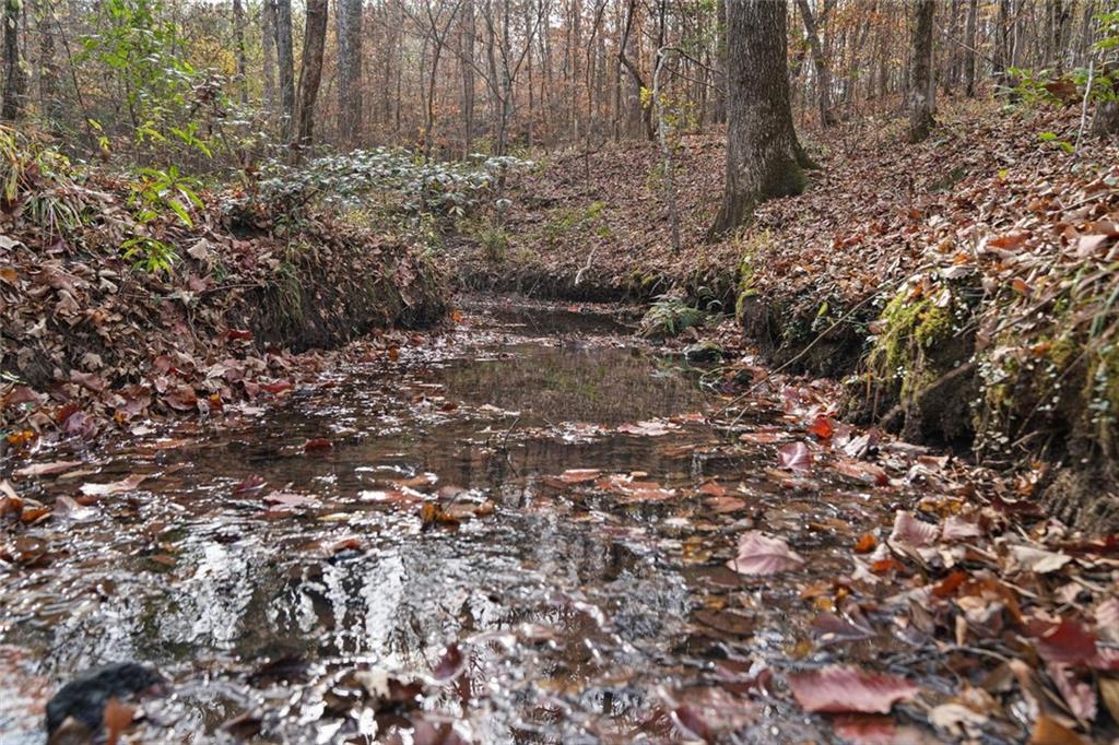 350 Lee Paul Road Hawkinsville, GA 31036 - Photo 42 of 44