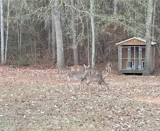 $595,000 | 350 Lee Paul Road, Hawkinsville, GA 31036