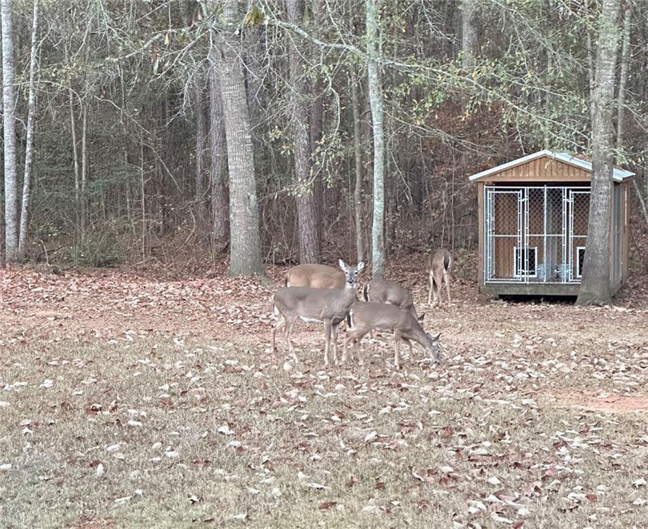 350 Lee Paul Road Hawkinsville, GA 31036 - Photo 44 of 44