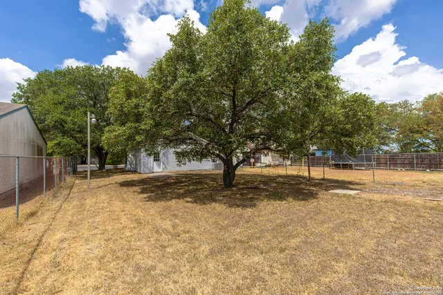 a view of a yard with trees