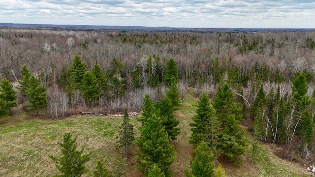 12655 West Atherton Road Couderay, WI 54828 - Photo 10 of 16