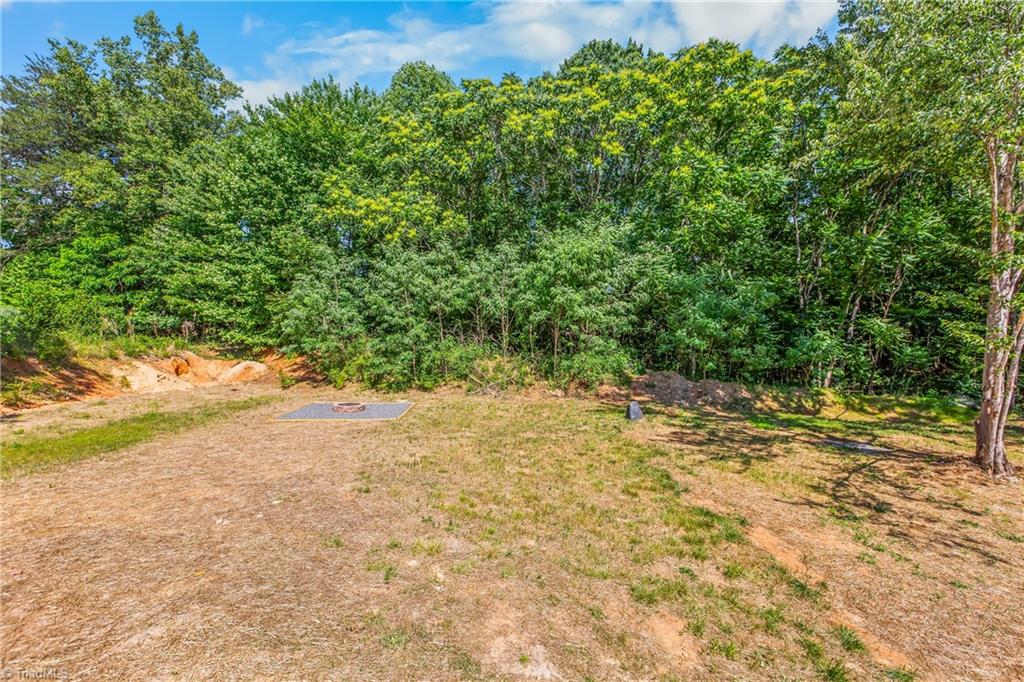 1100 Sandy Lane Sandy Ridge, NC 27046 - Photo 30 of 42
