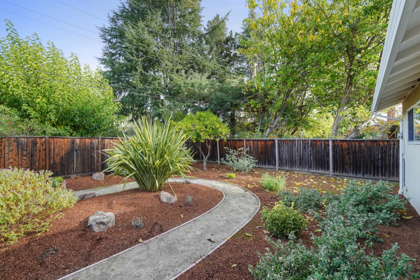 831 Flin Way Sunnyvale, CA 94087 - Photo 37 of 55 a view of a backyard with plants