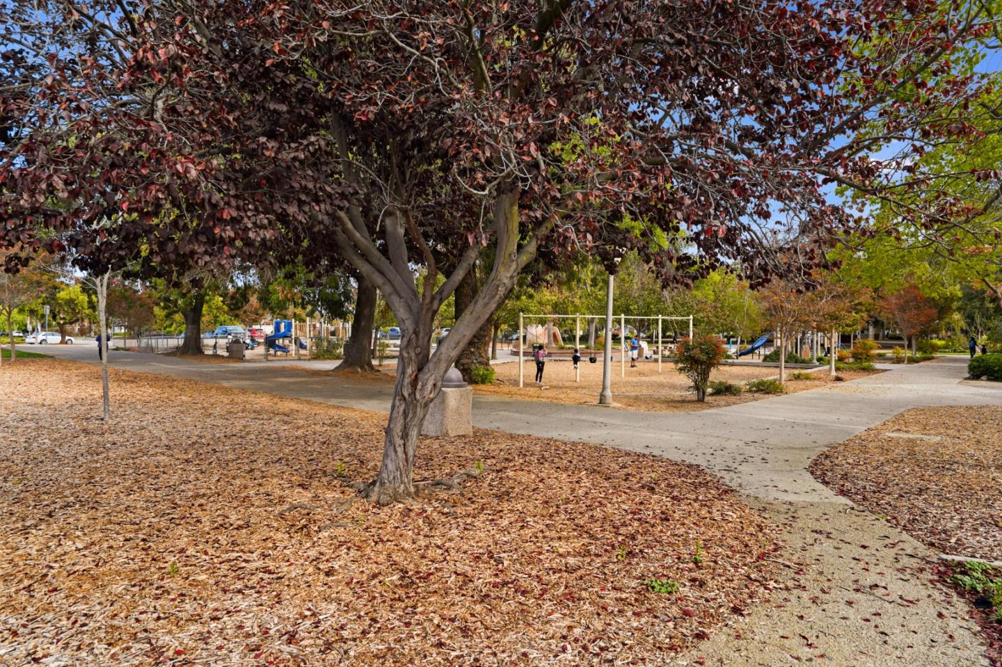 831 Flin Way Sunnyvale, CA 94087 - Photo 52 of 55