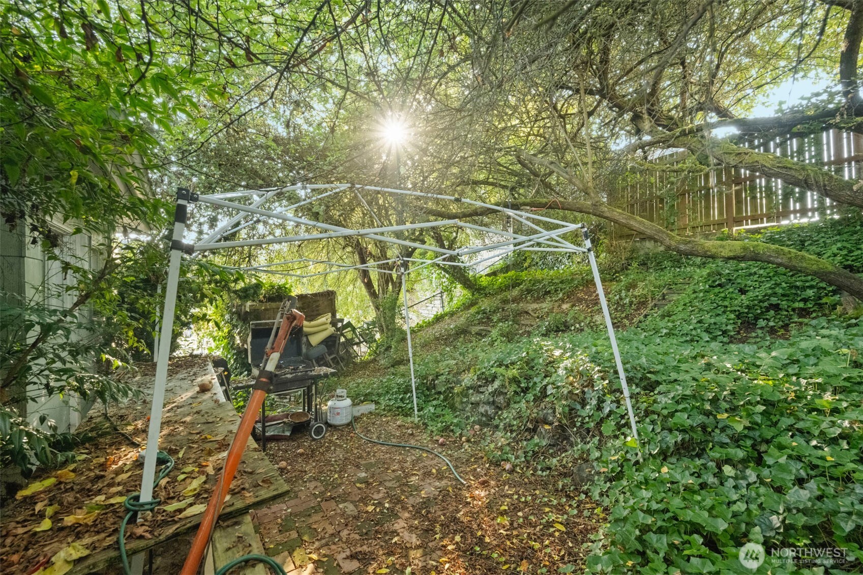 341 Northeast 51st Street Seattle, WA 98105 - Photo 21 of 28