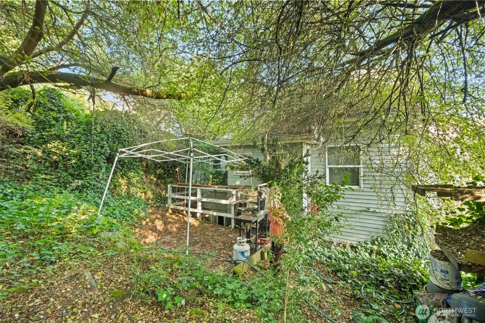 341 Northeast 51st Street Seattle, WA 98105 - Photo 22 of 28