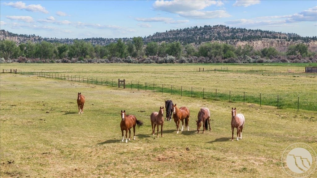 1419 West M Road Worden, MT 59088 - Photo 42 of 48 Gallery Image 42