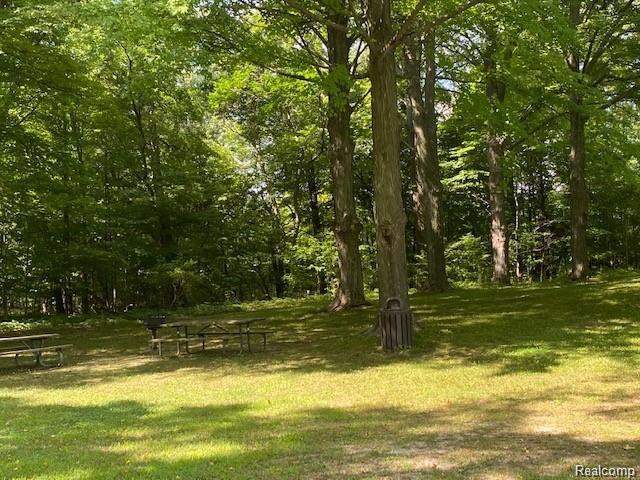 V/l Murray Hill Road Hartland, MI 48353 - Photo 9 of 18