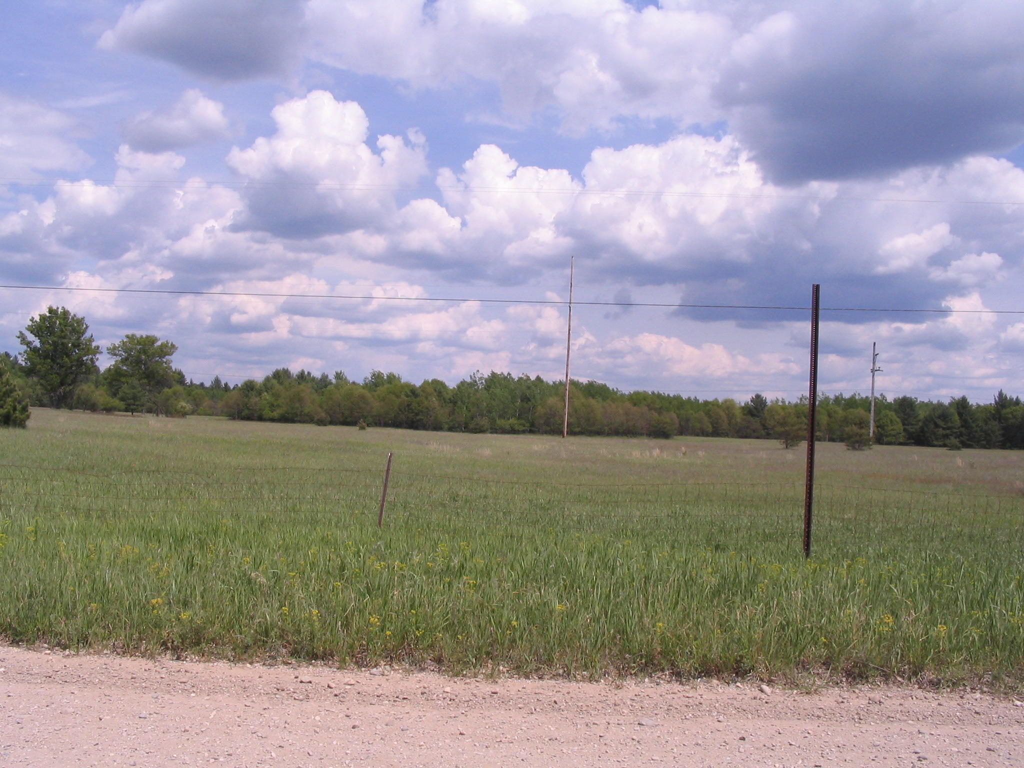 Merrio Road Grayling, MI 49738 - Photo 7 of 7 Gallery Image 7