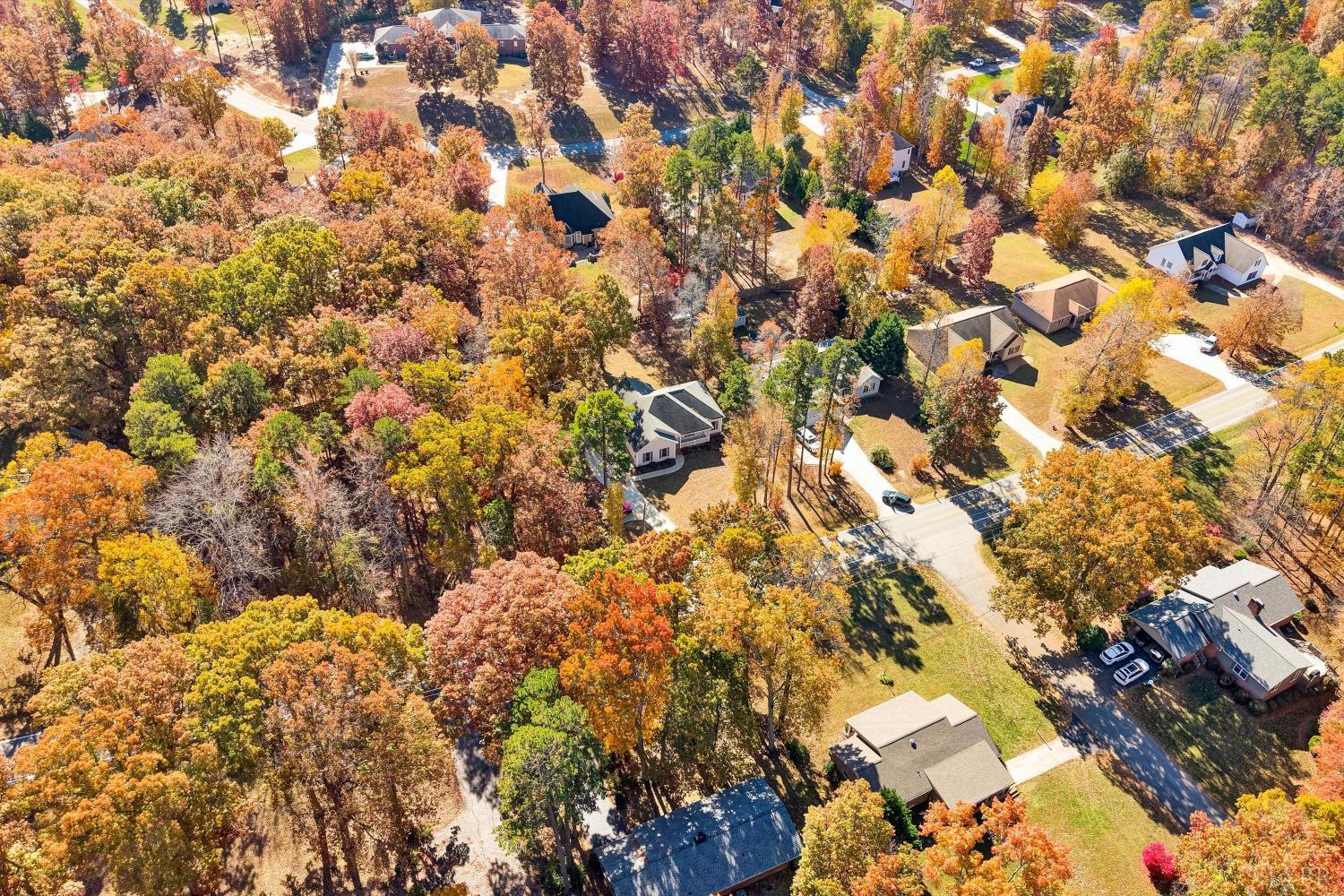 1182 Dan River Church Road South Boston, VA 24592 - Photo 5 of 43 a view of a tree