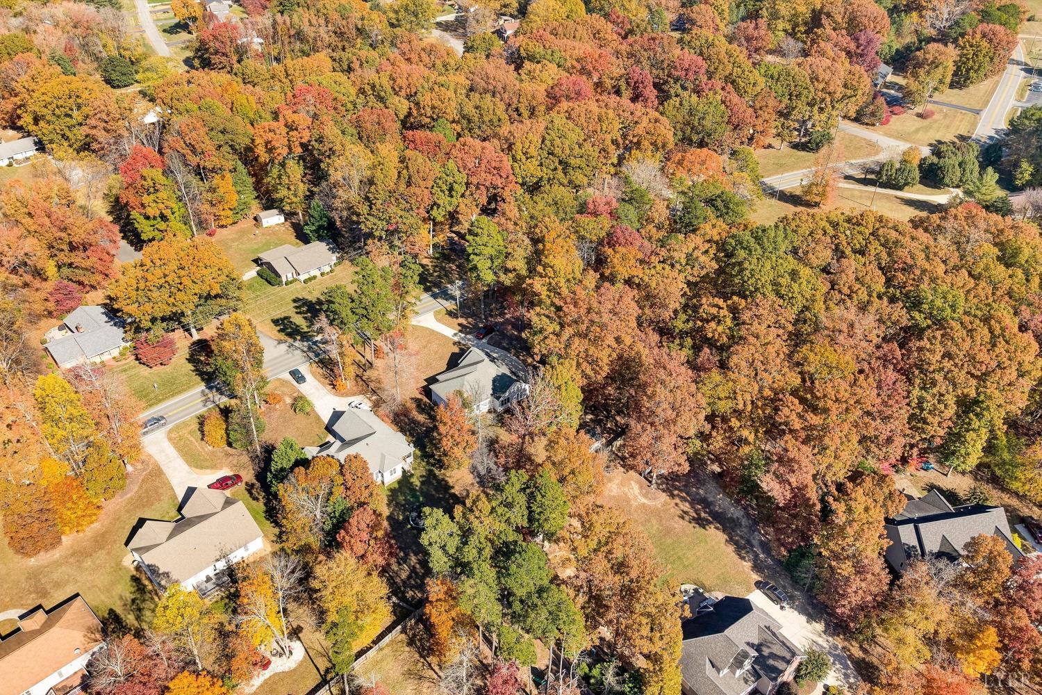 1182 Dan River Church Road South Boston, VA 24592 - Photo 6 of 43 a view of a yard