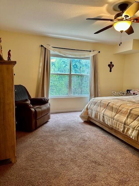 1746 Heron Cove Drive Lutz, FL 33549 - Photo 27 of 40